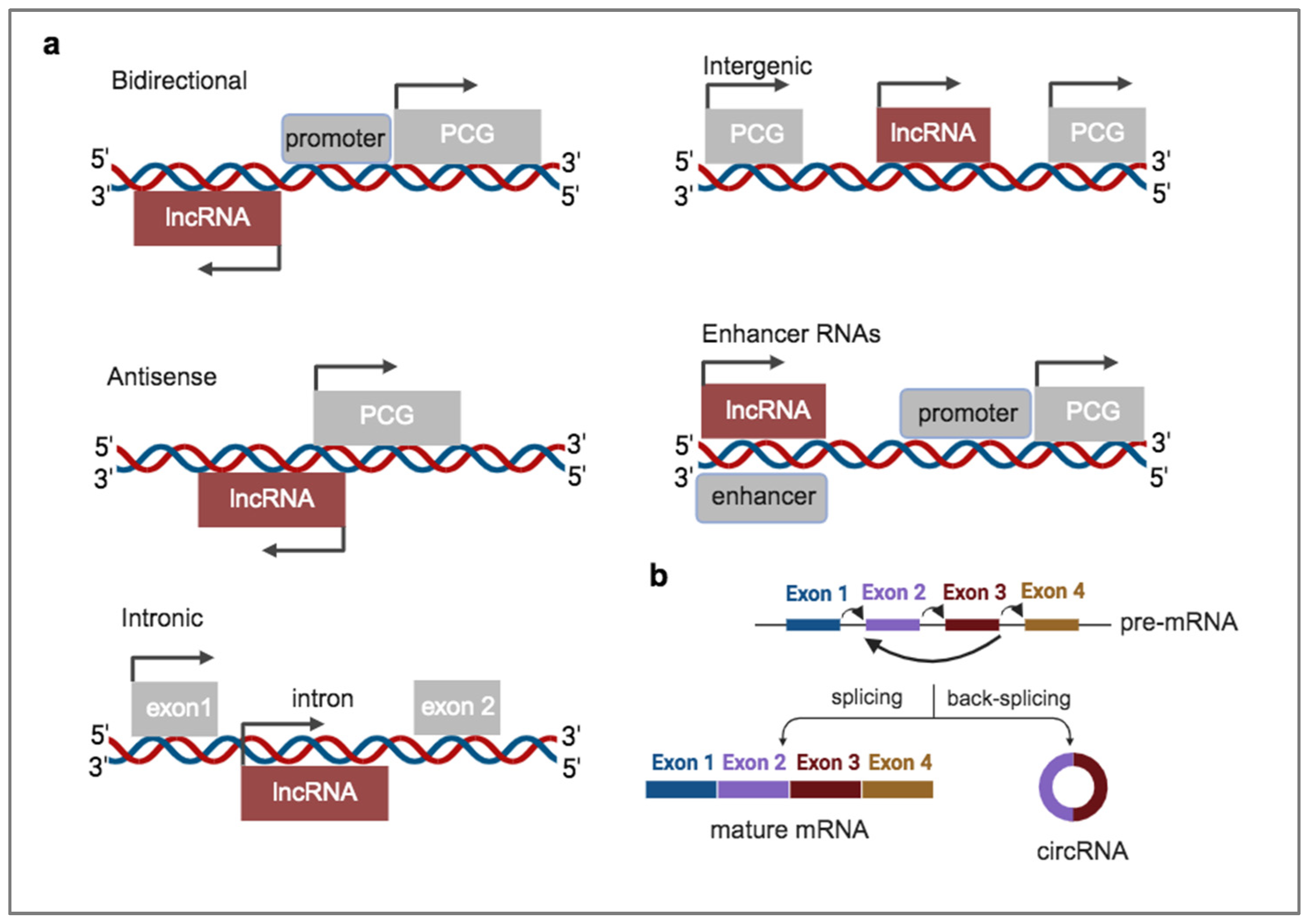 Preprints 120387 g001