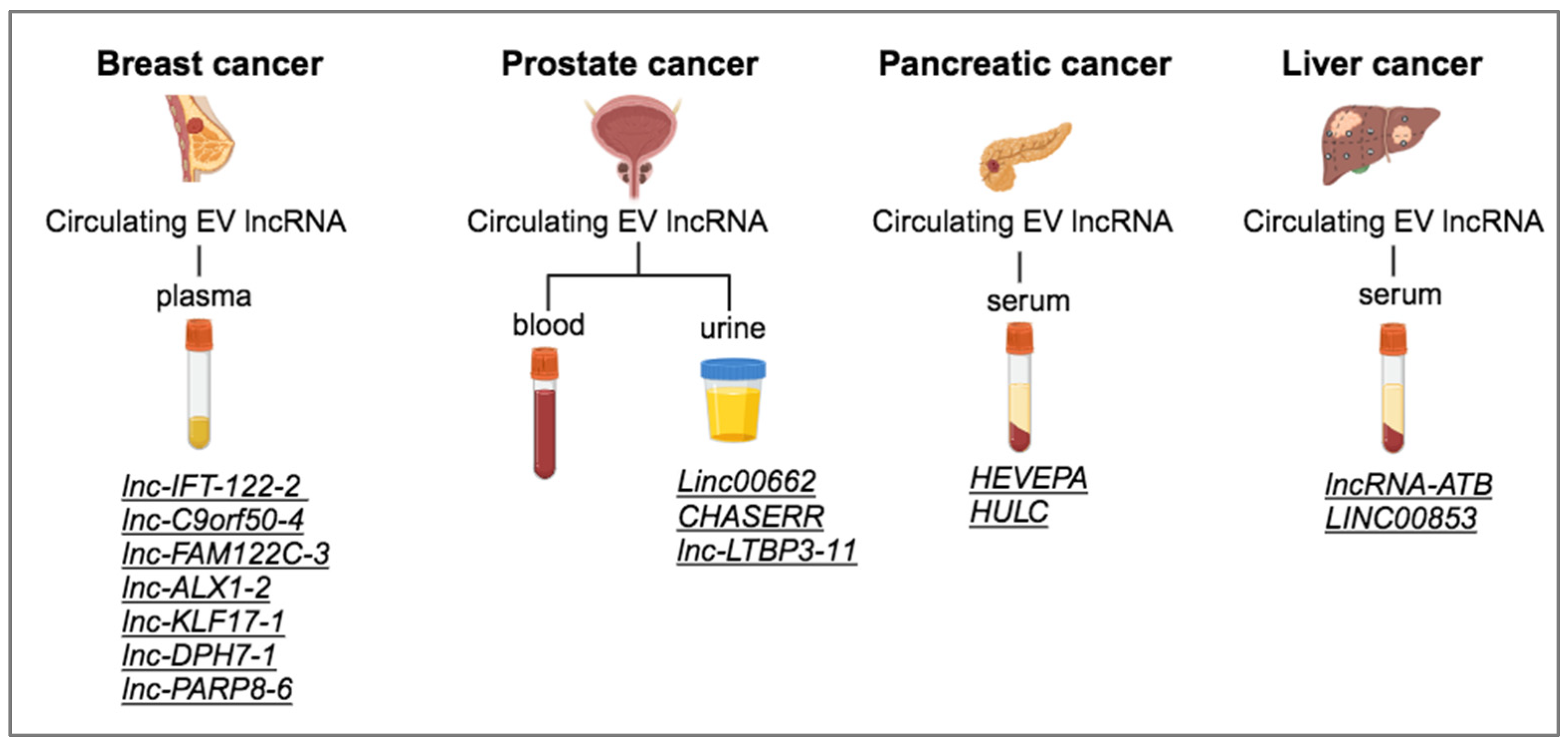 Preprints 120387 g003