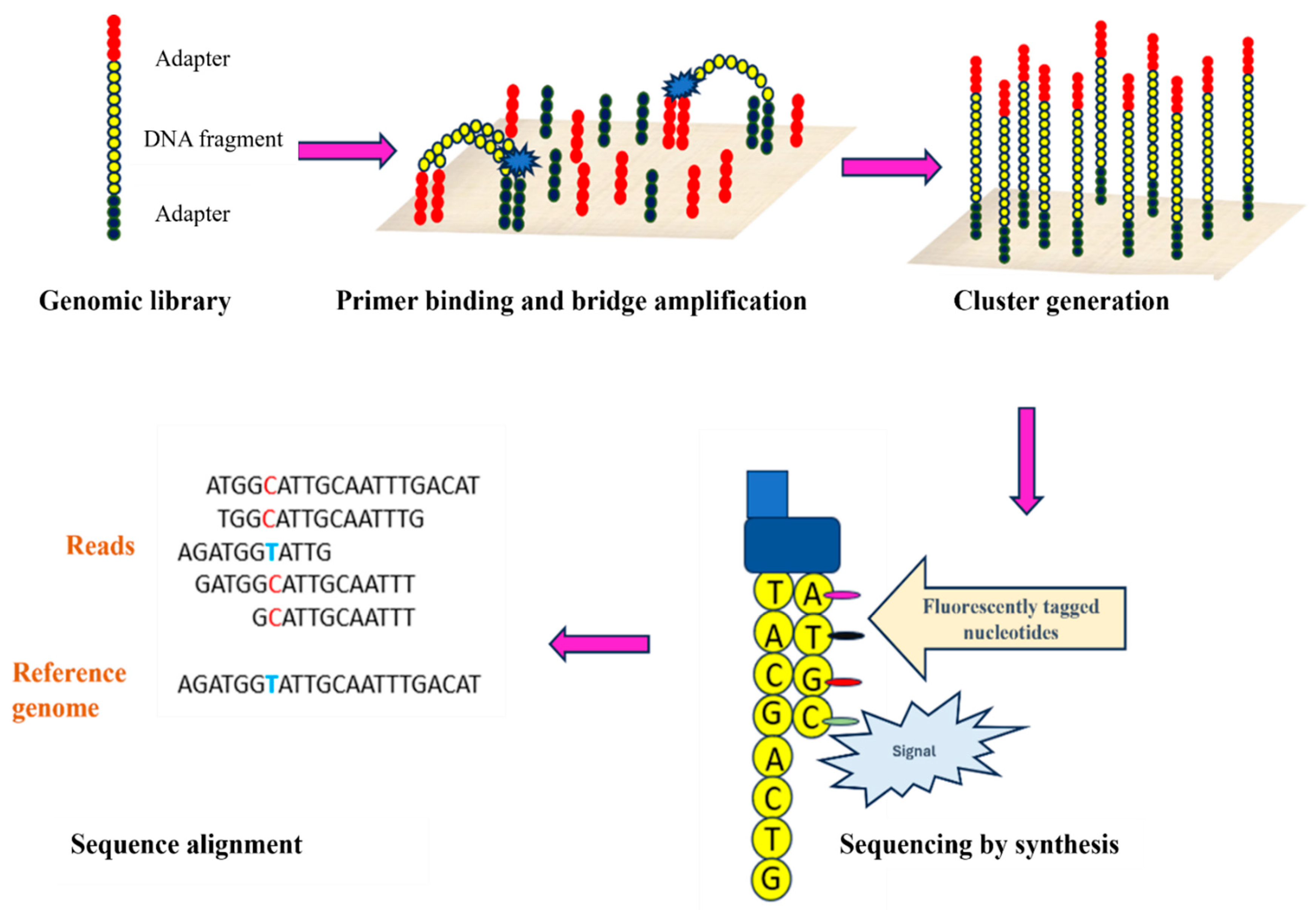 Preprints 104193 g002