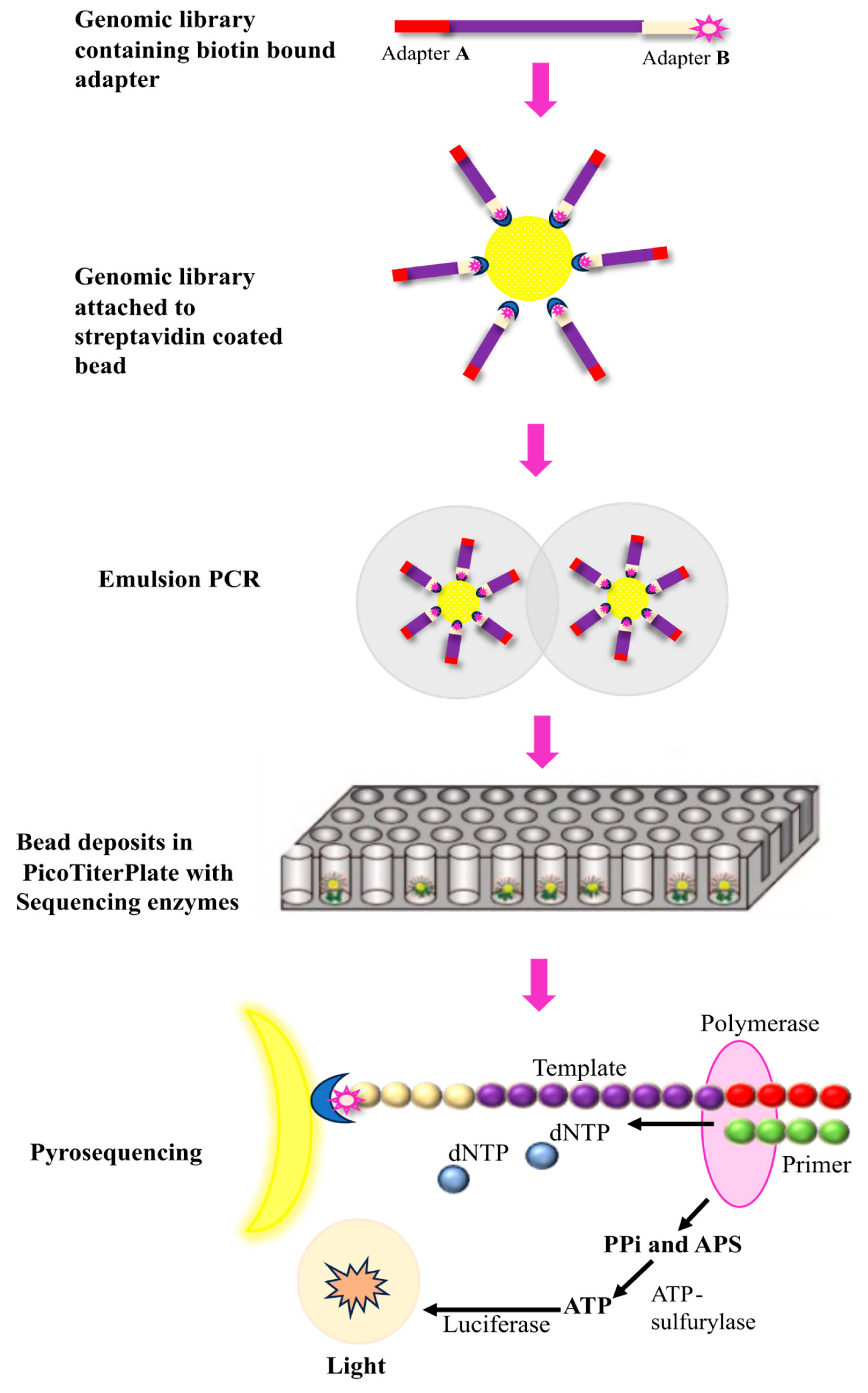 Preprints 104193 g003