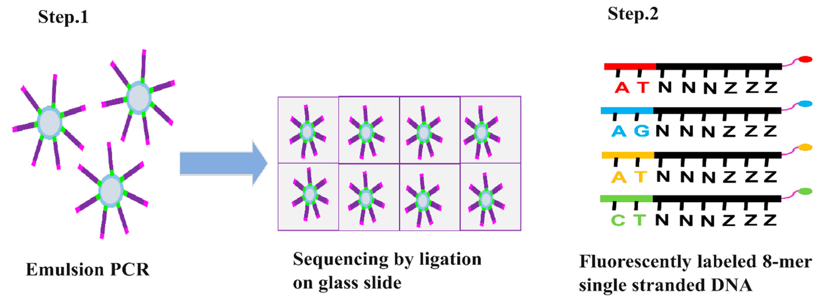 Preprints 104193 g004a