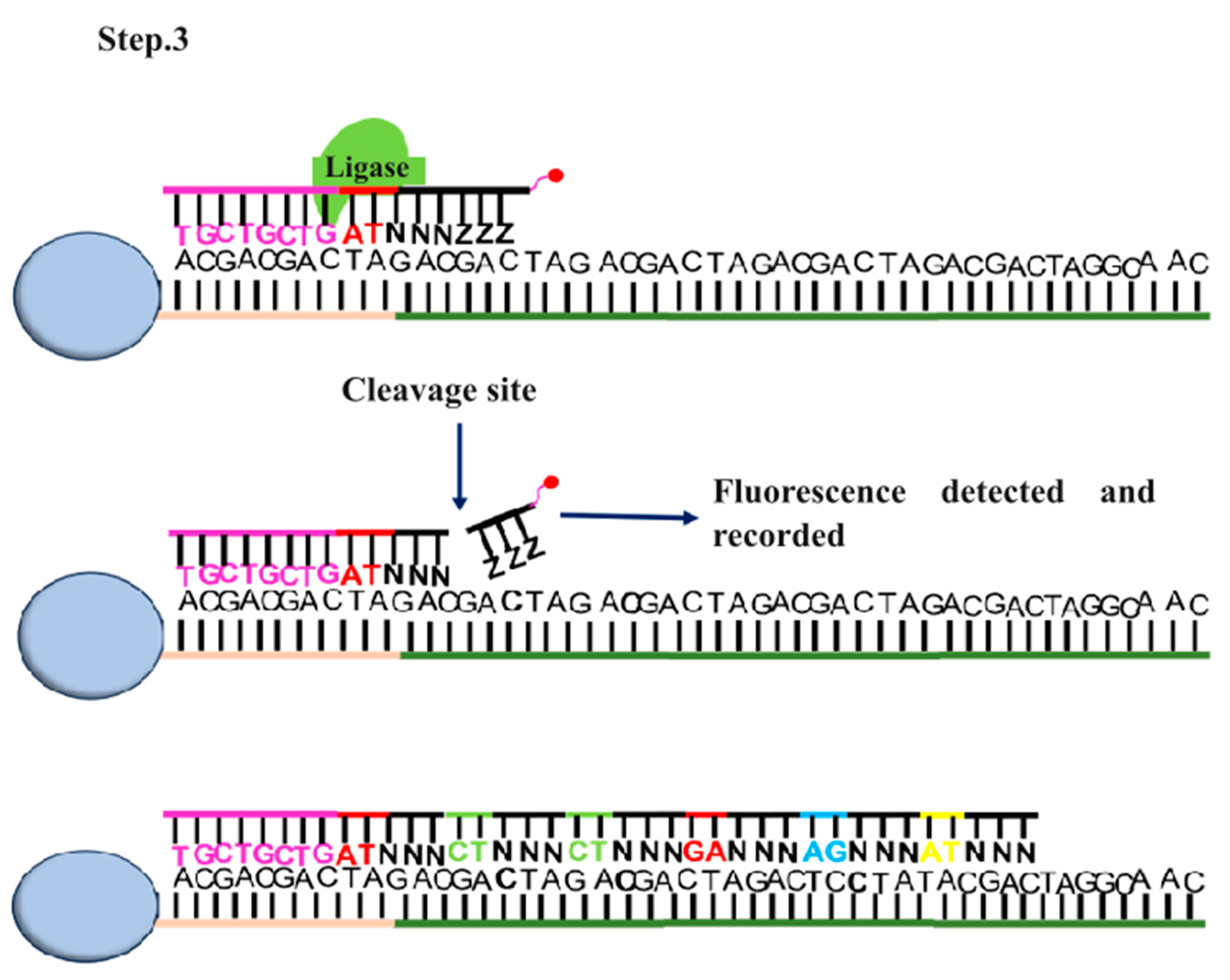 Preprints 104193 g004b