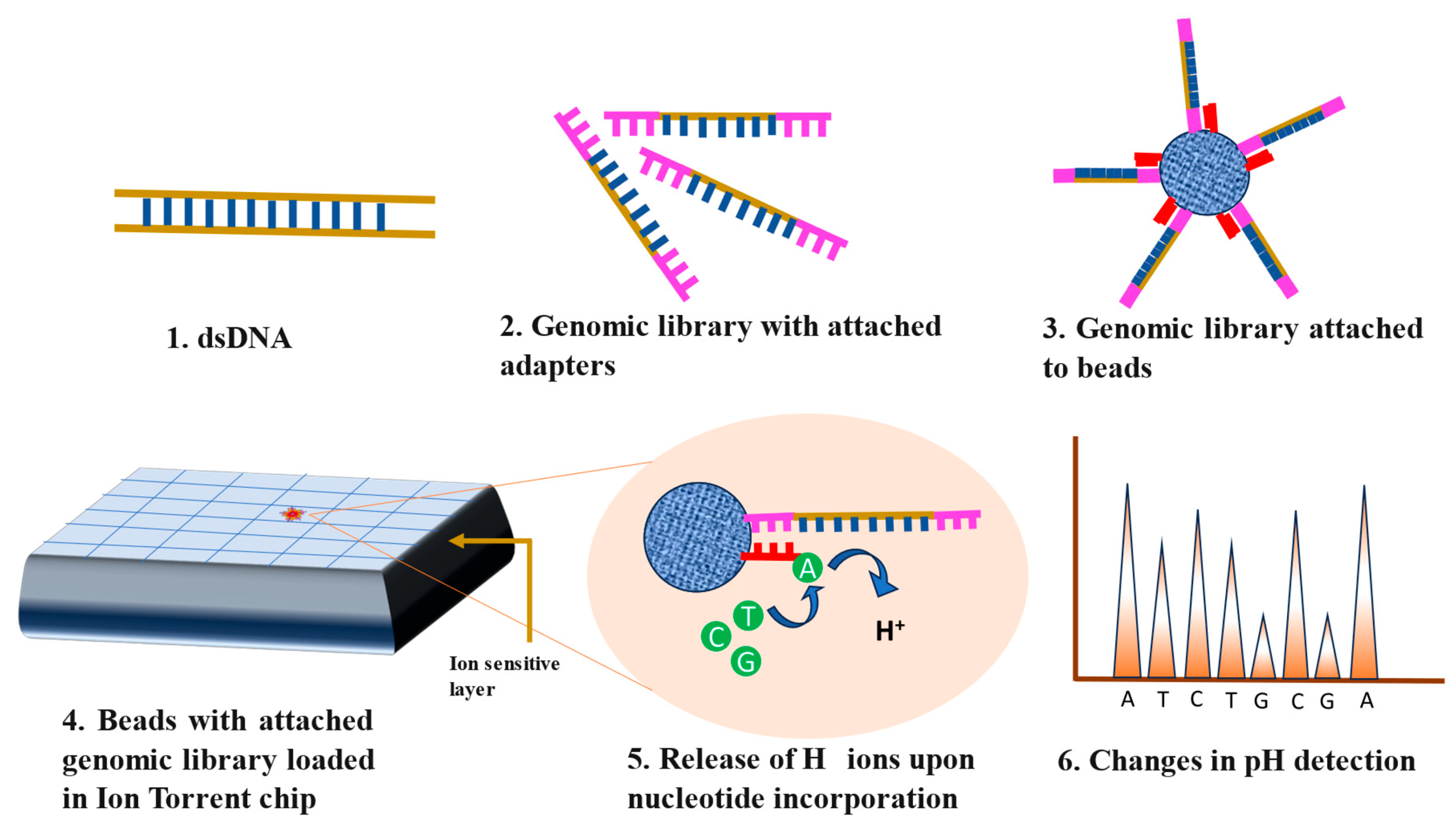 Preprints 104193 g005