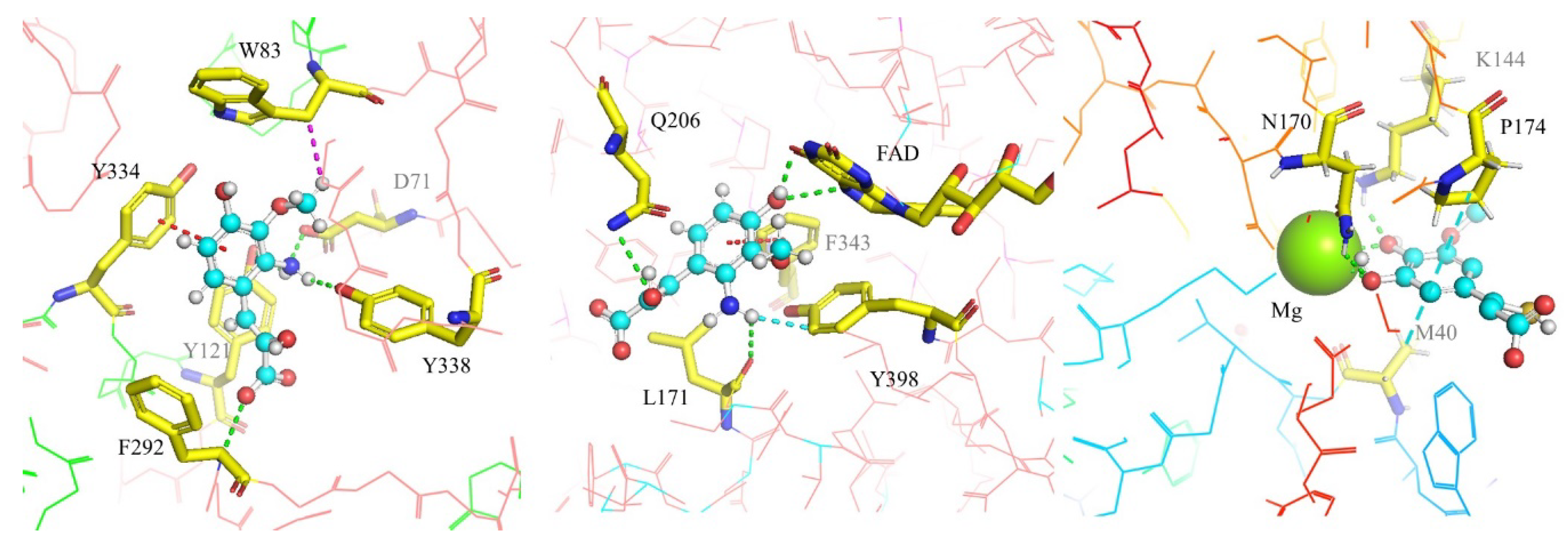 Preprints 72585 g006