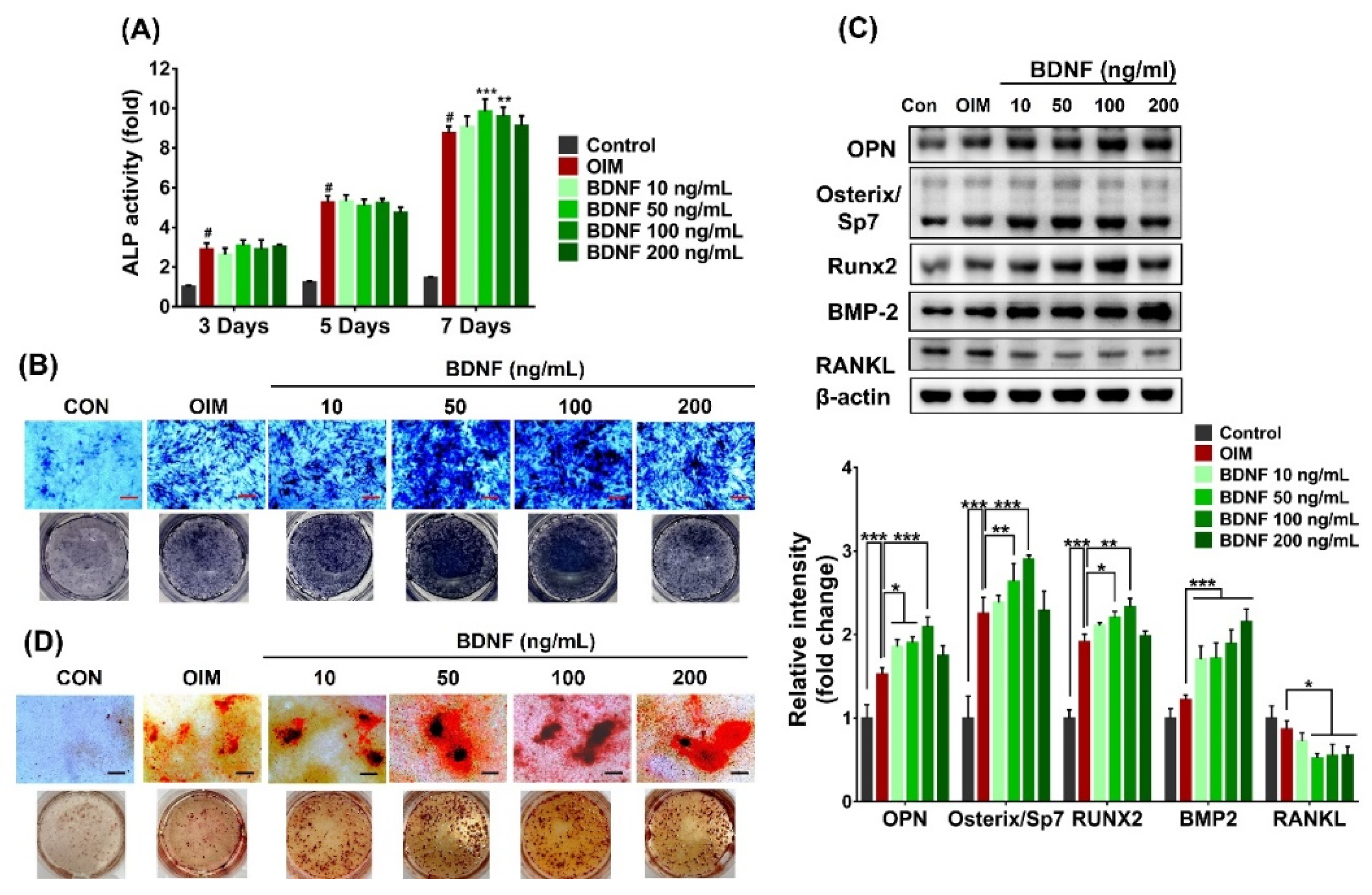 Preprints 95854 g002