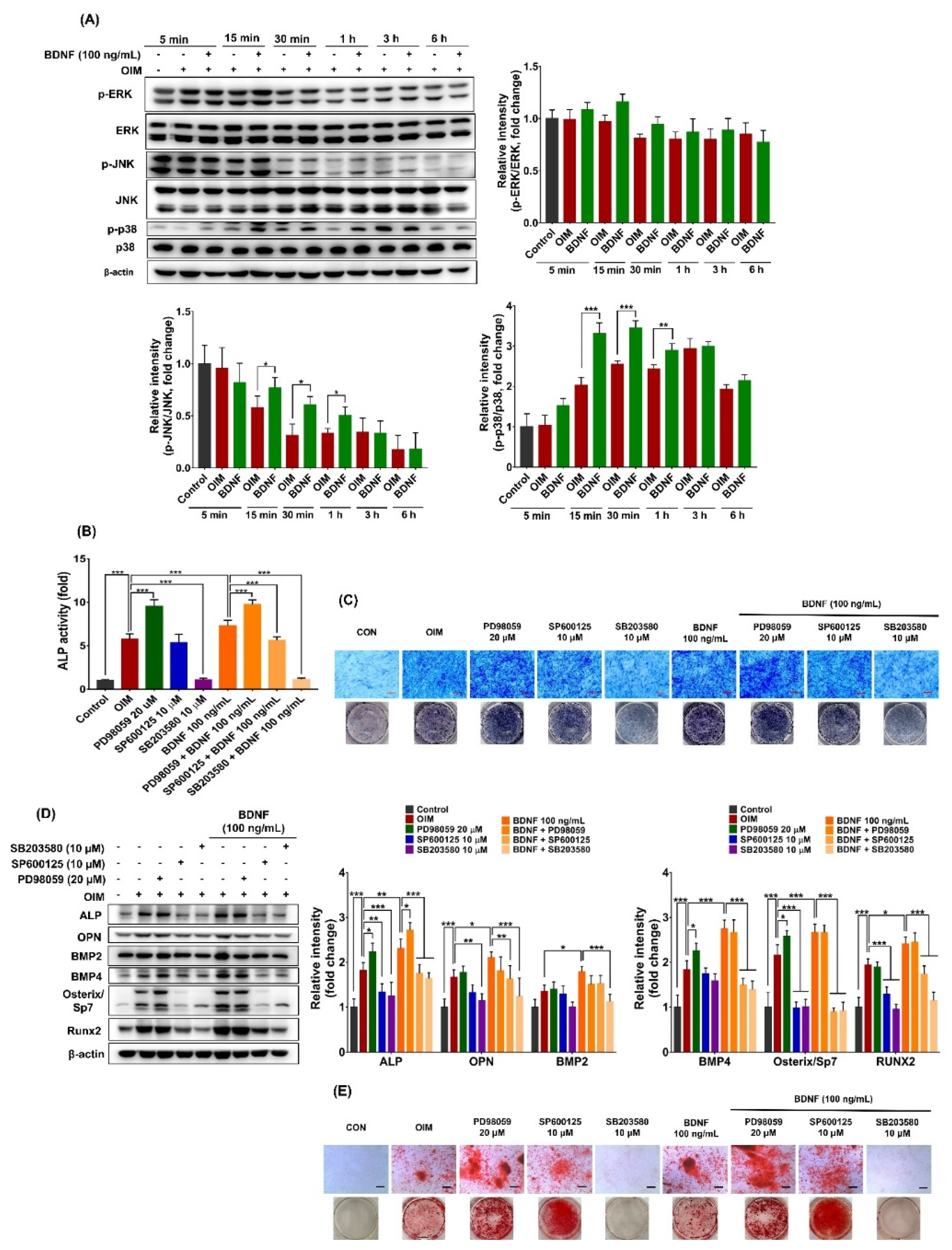 Preprints 95854 g003