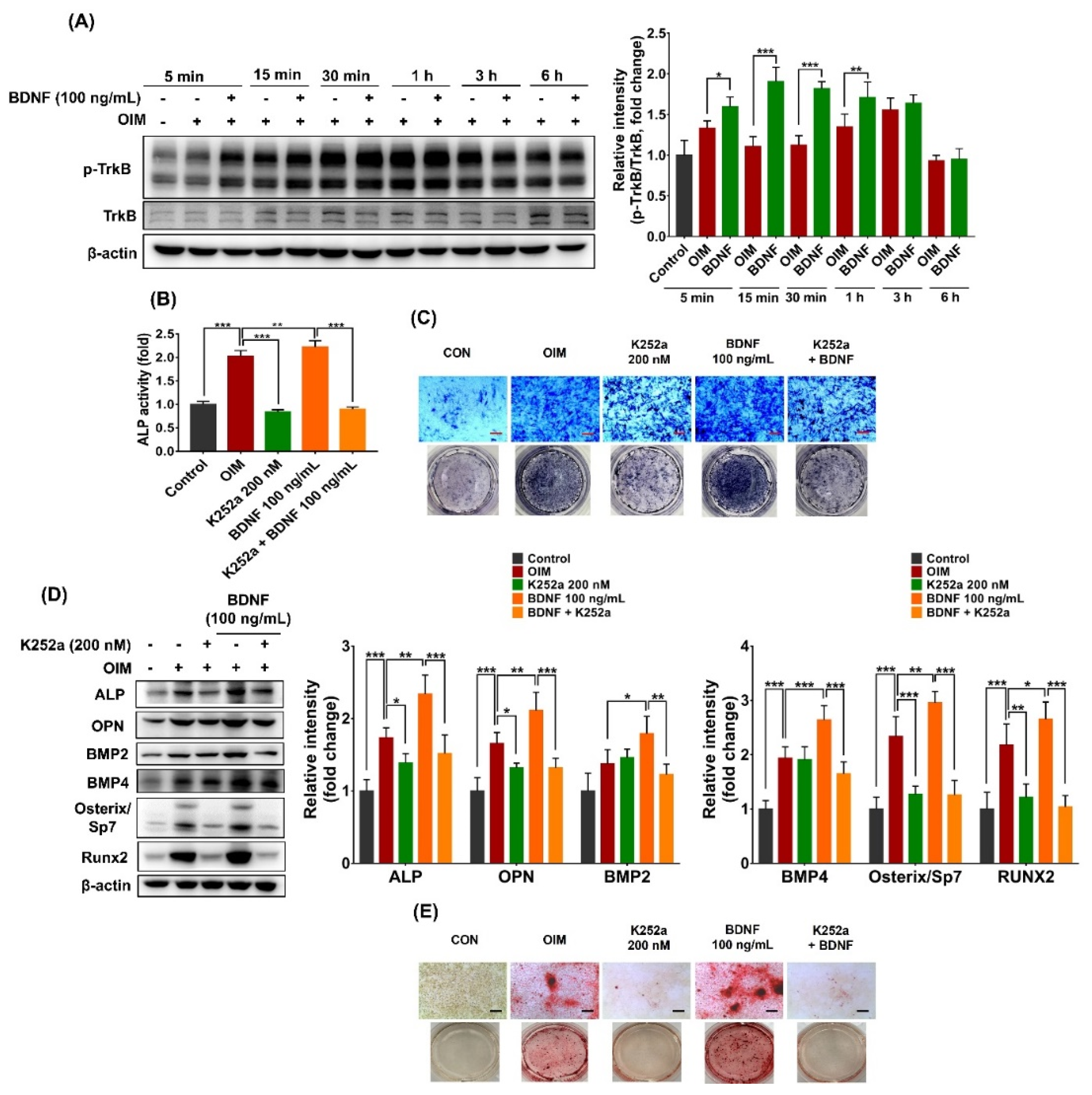 Preprints 95854 g004