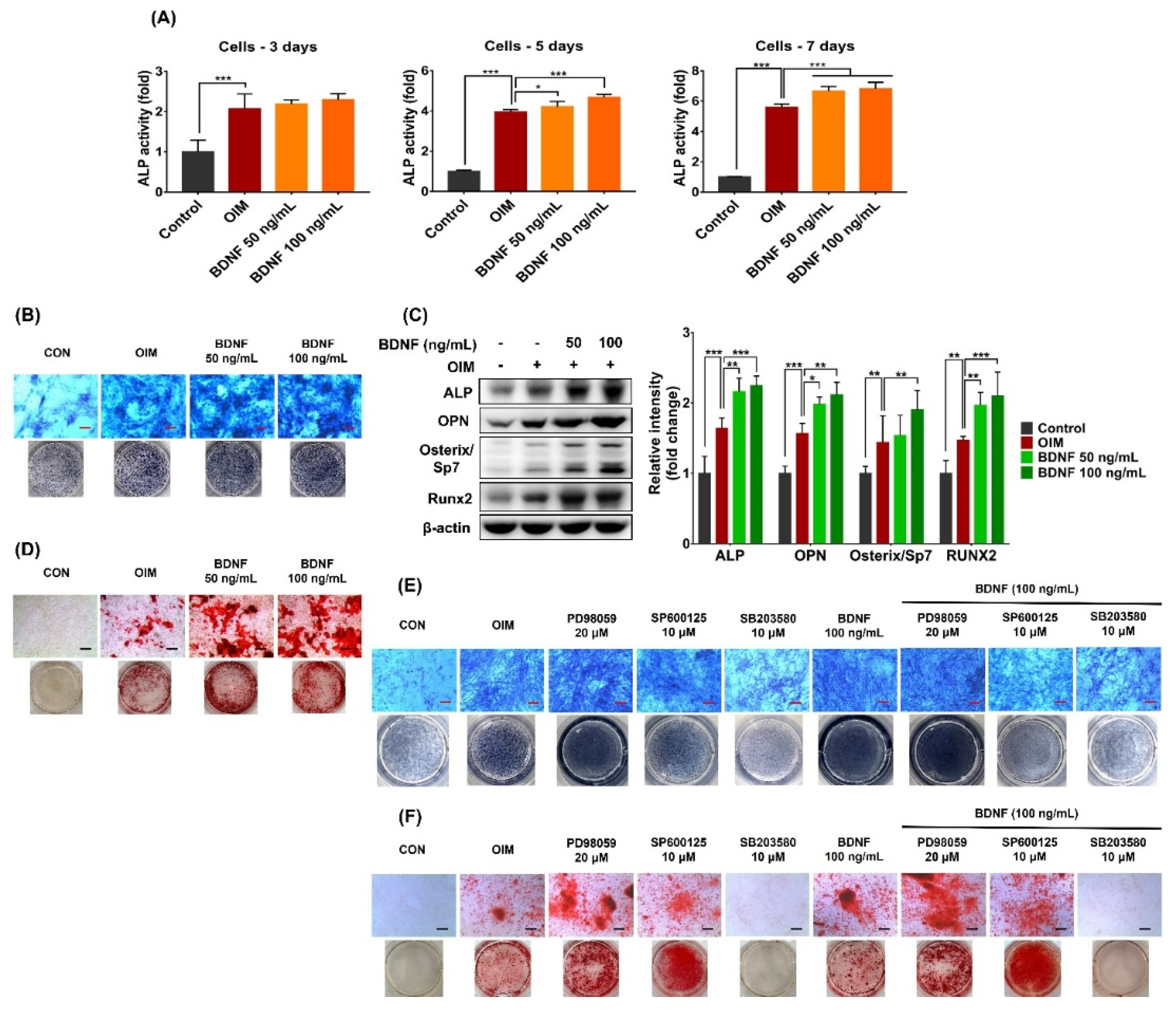 Preprints 95854 g005