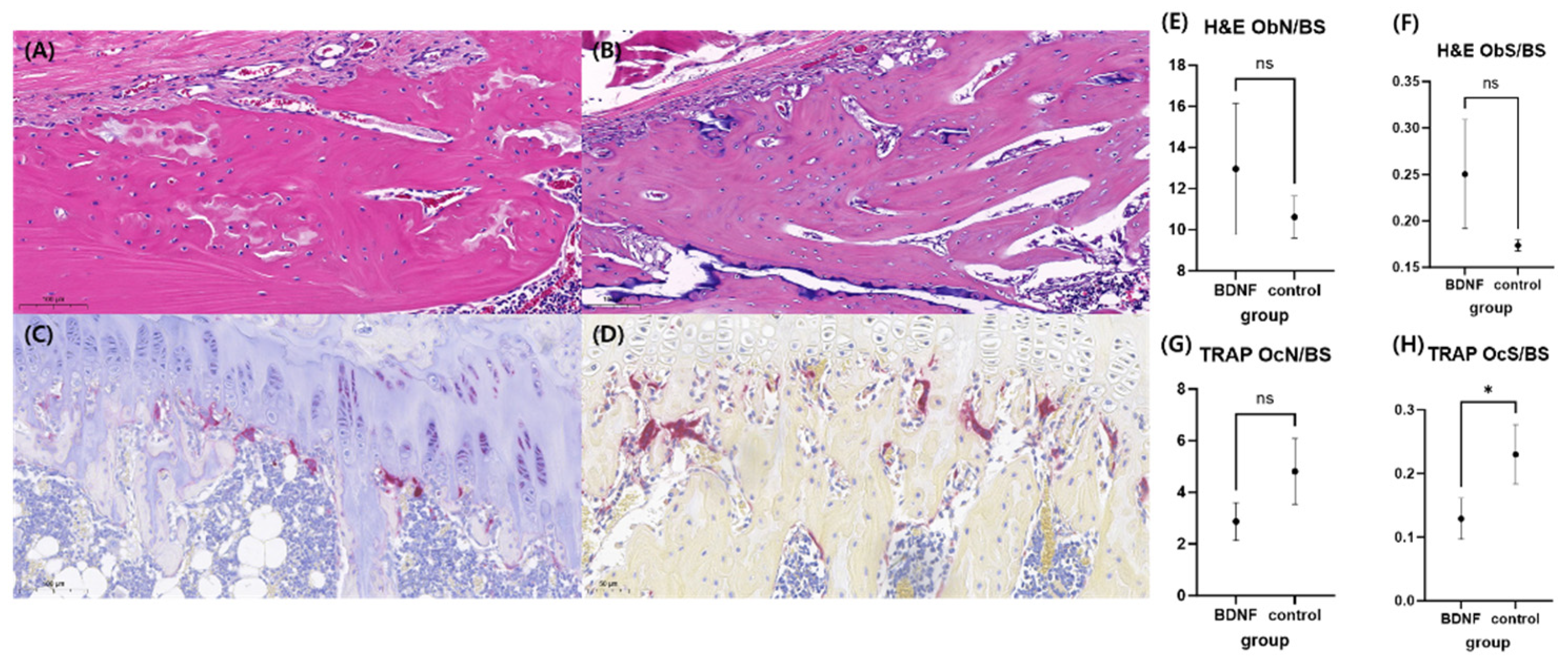 Preprints 95854 g007