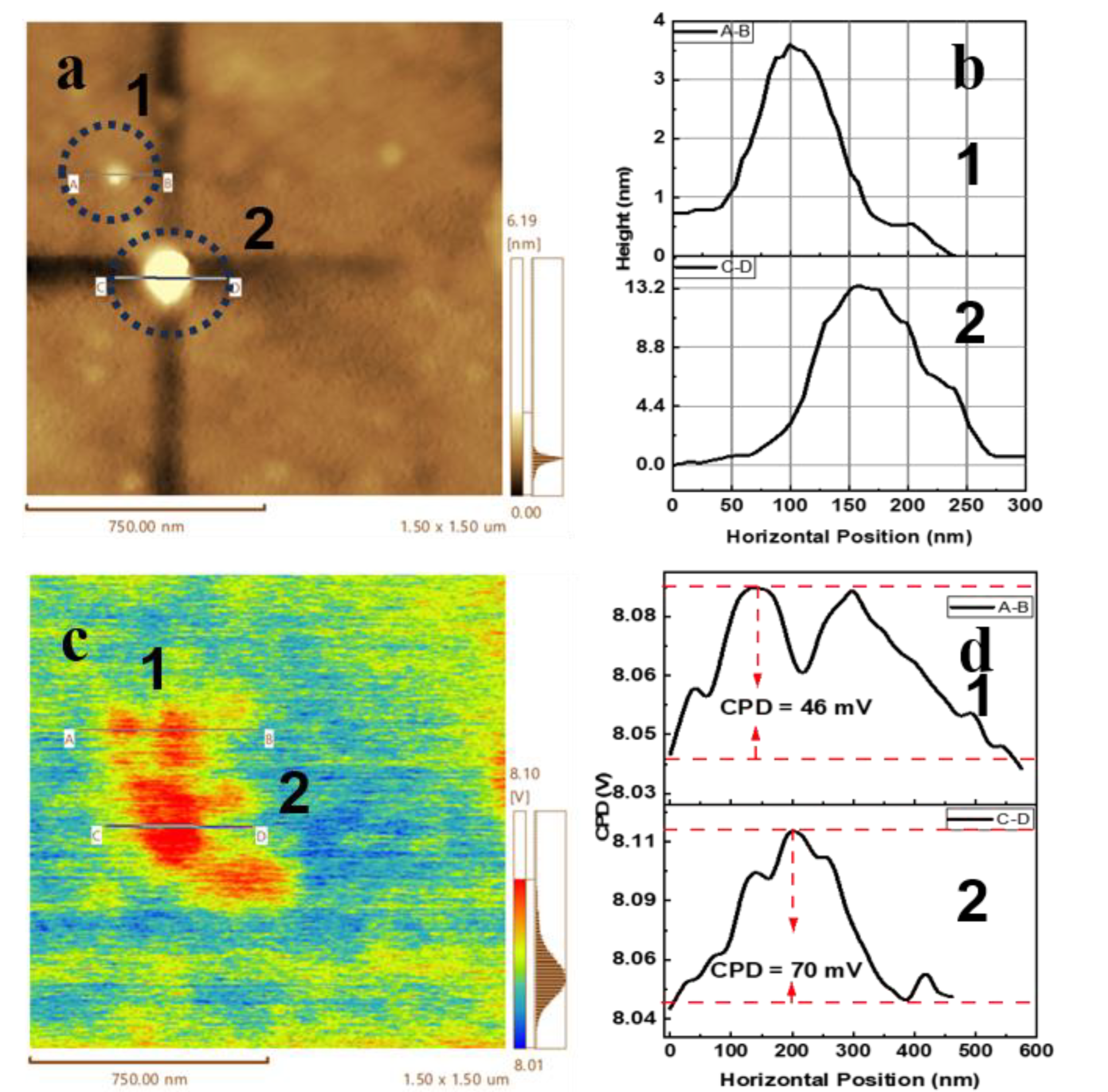 Preprints 113674 g004