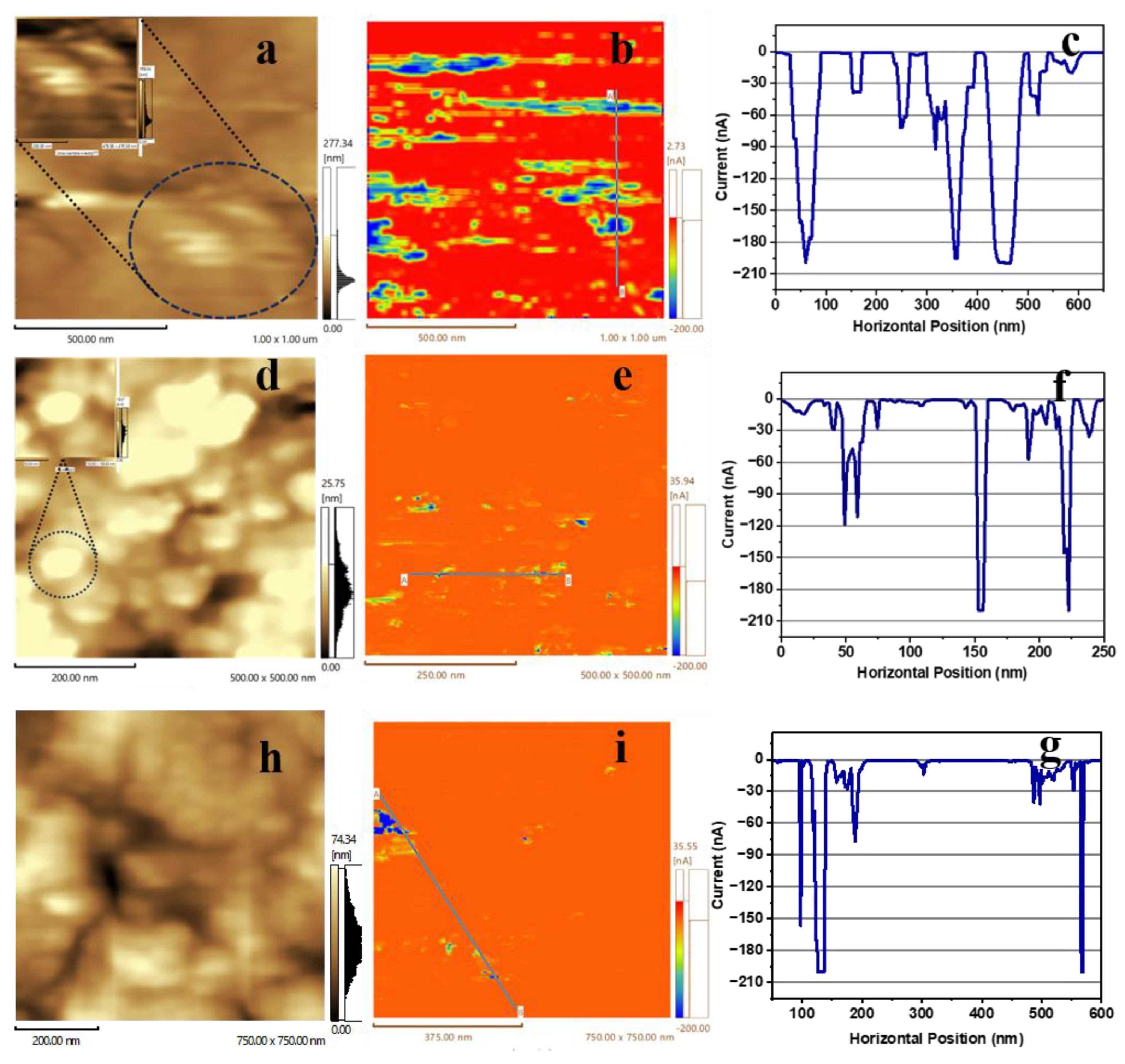 Preprints 113674 g006