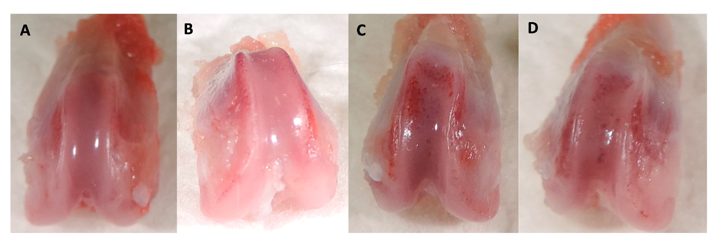 Preprints 93370 g009