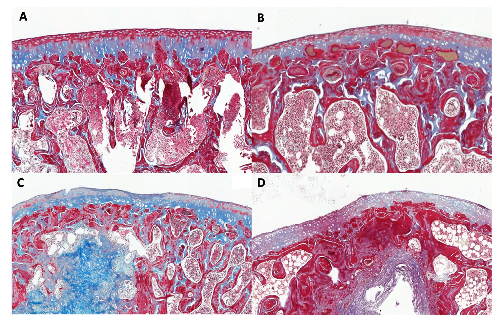 Preprints 93370 g010