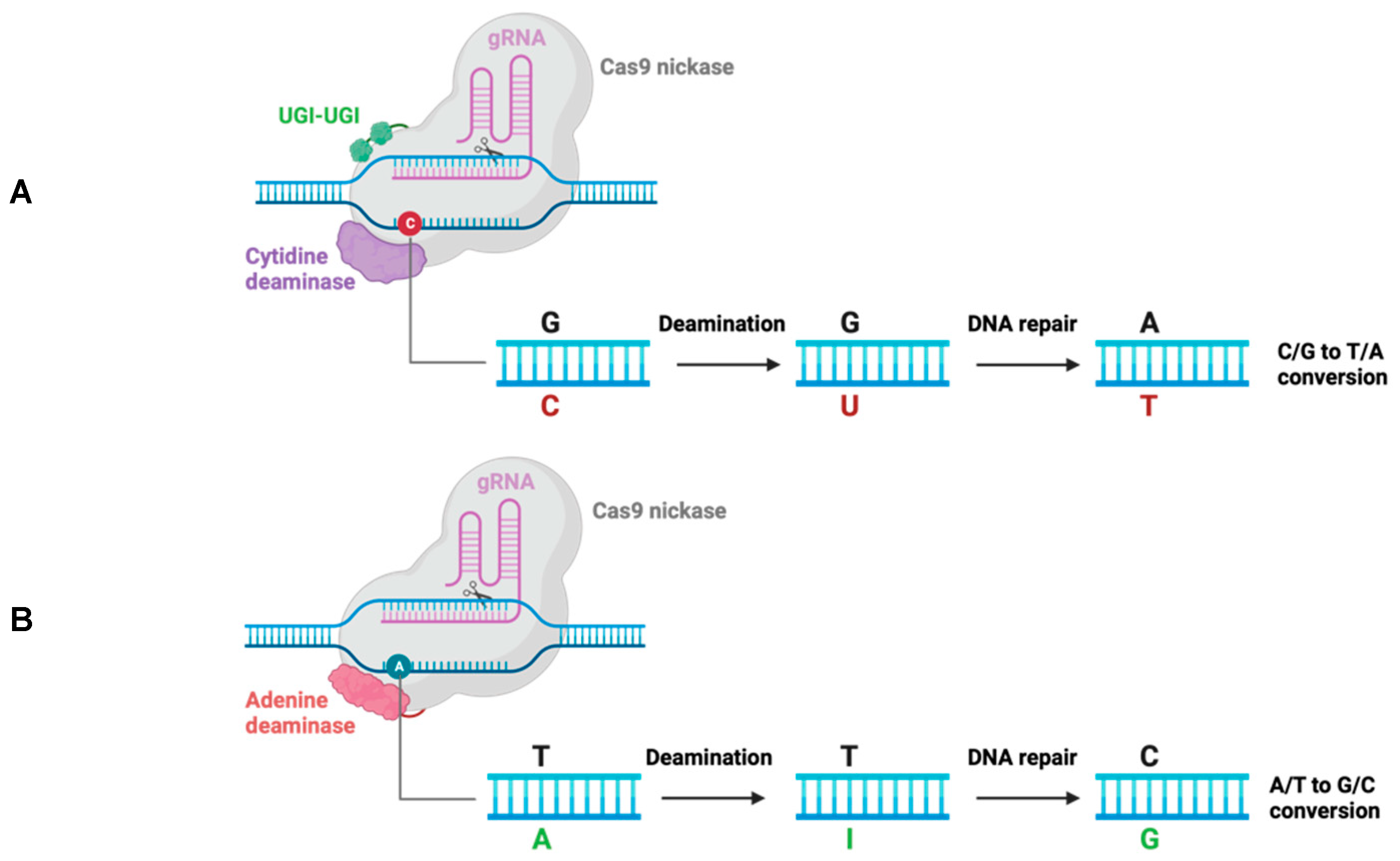 Preprints 97065 g001