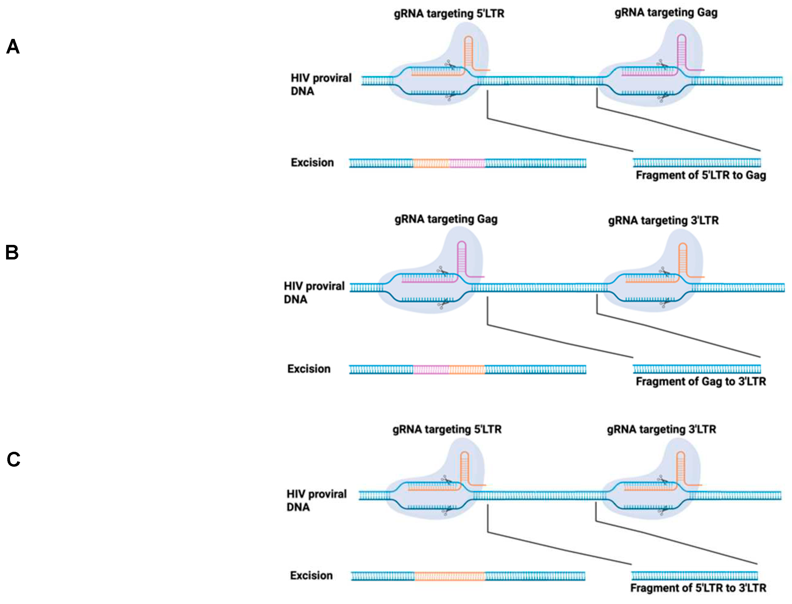 Preprints 97065 g002