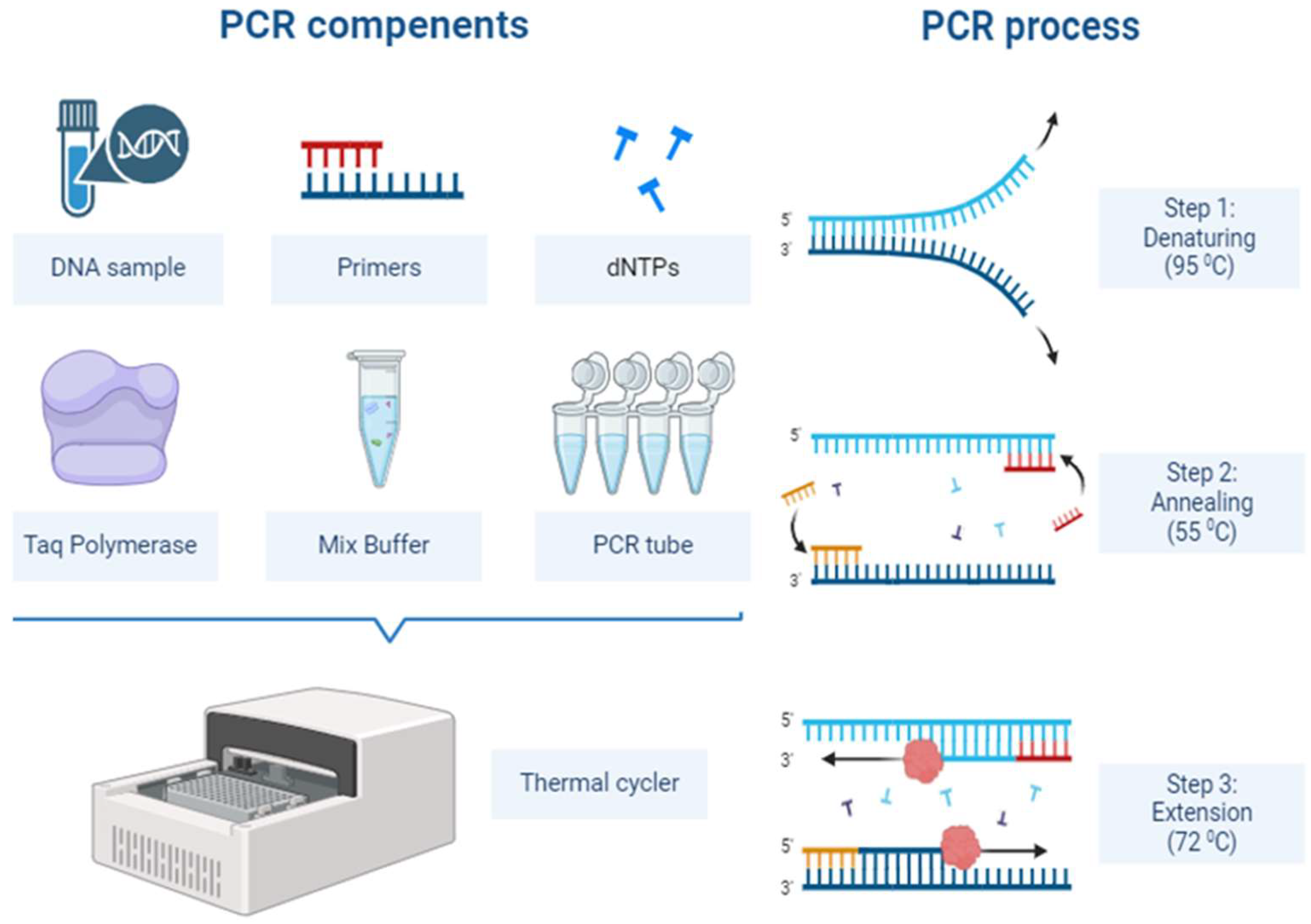 Preprints 138337 g001