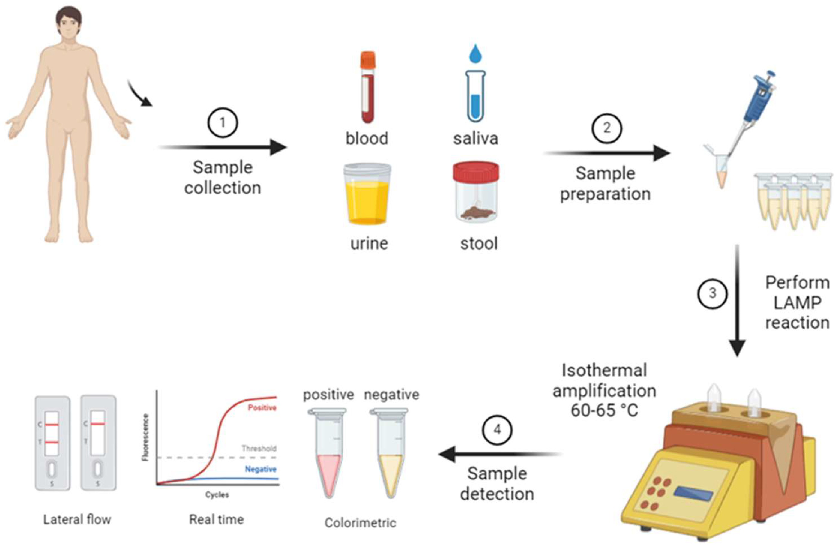 Preprints 138337 g002