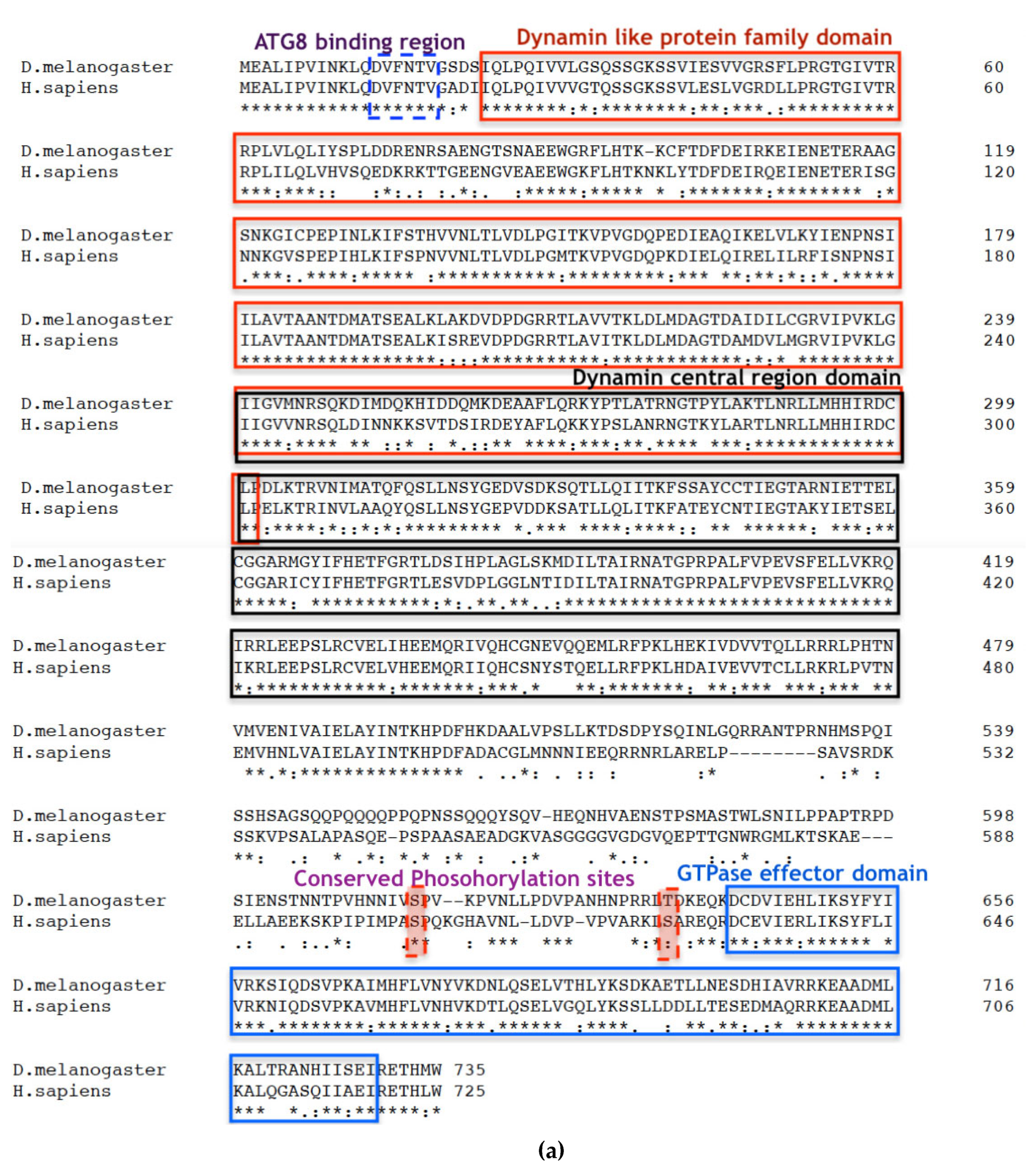 Preprints 112245 g001a