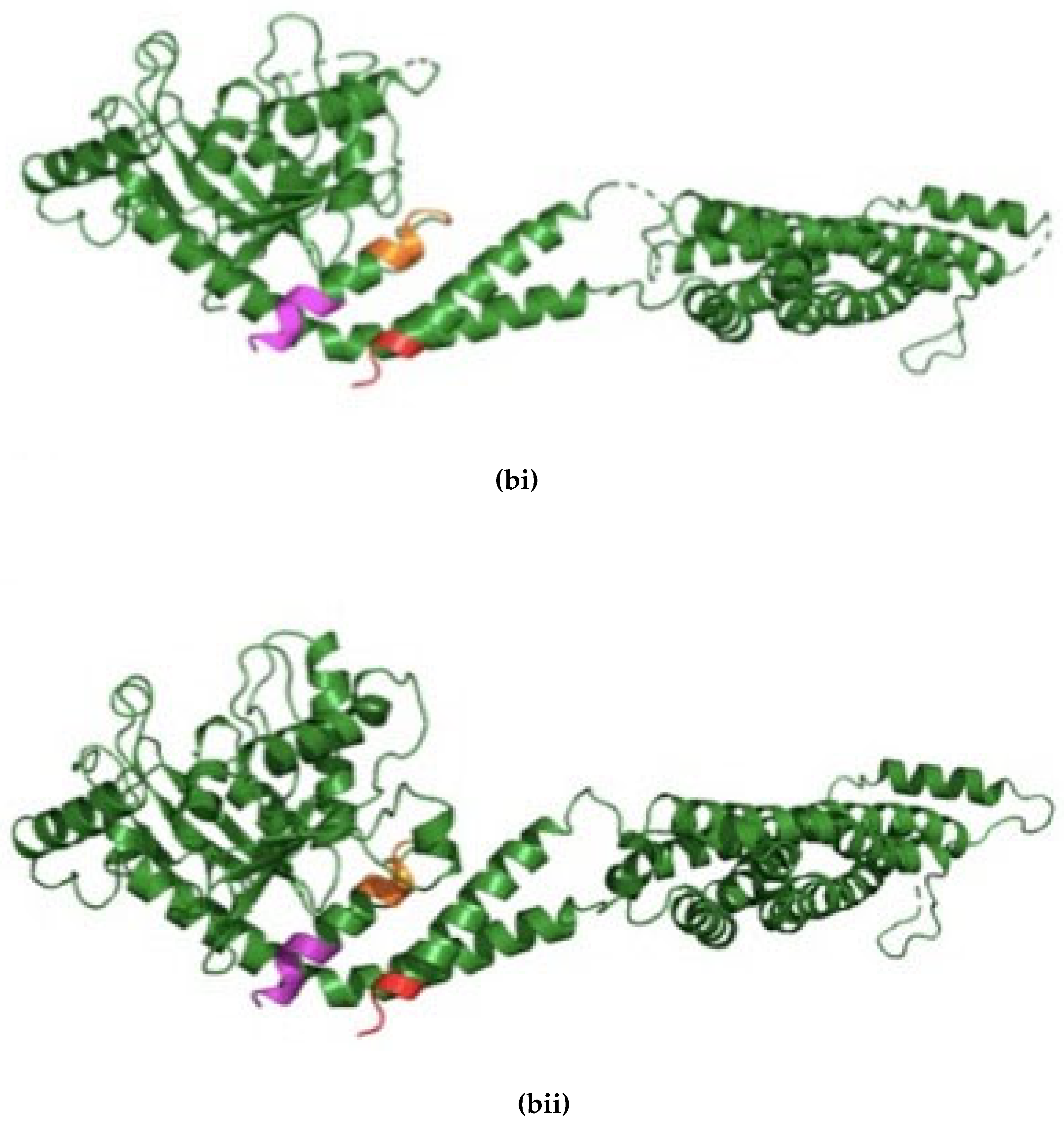 Preprints 112245 g001b