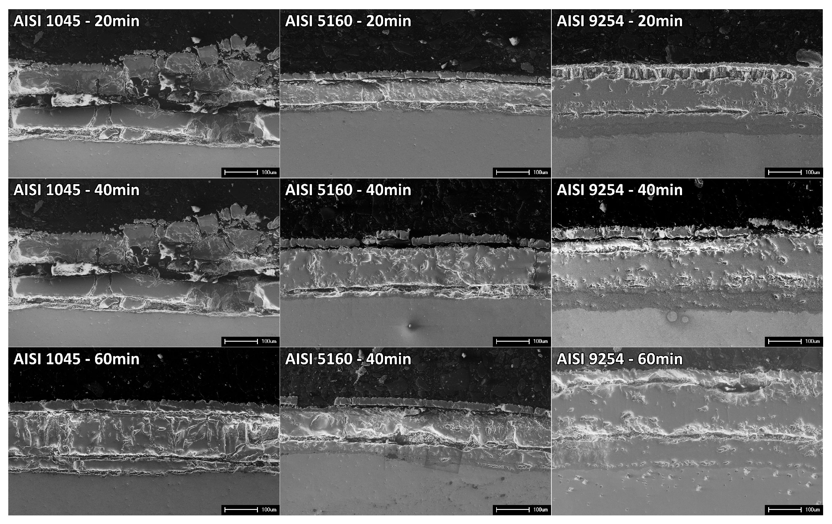 Preprints 92642 g005