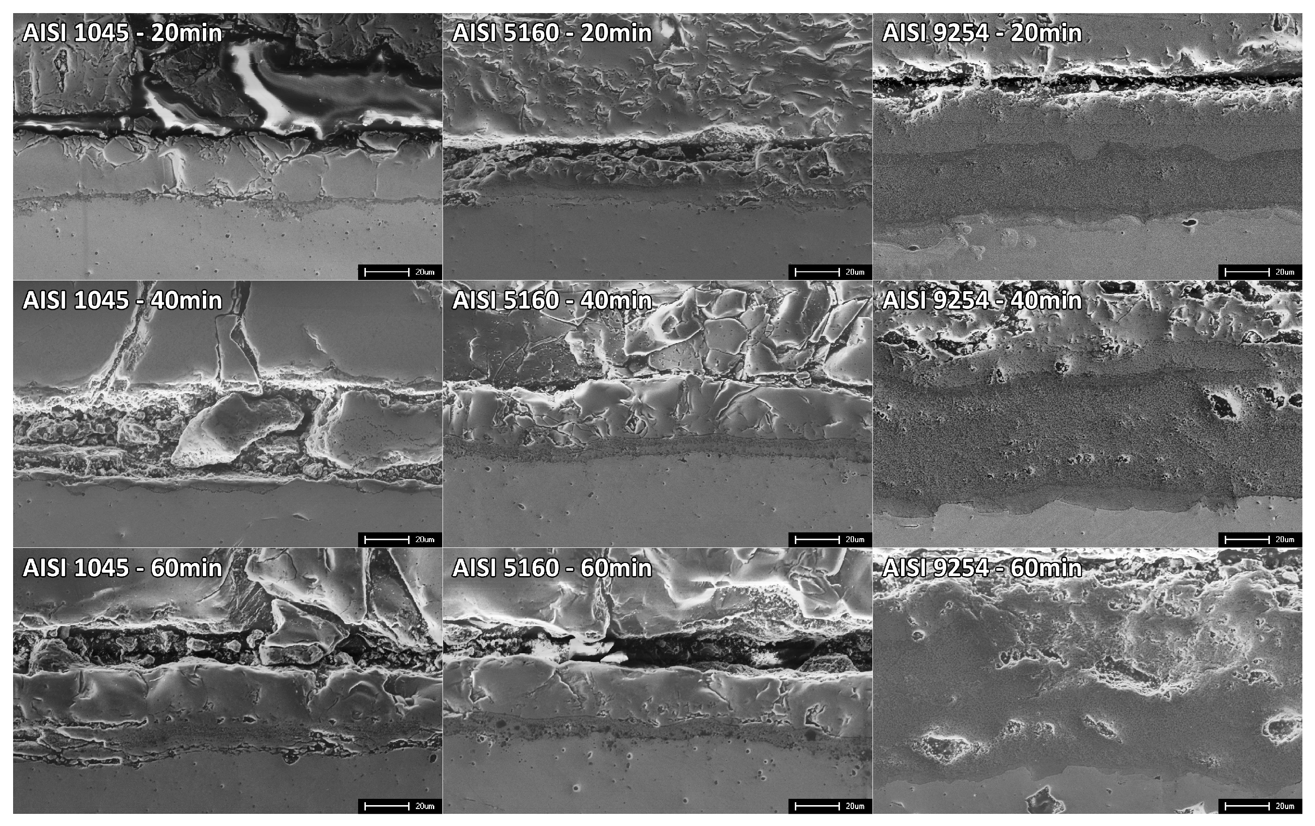 Preprints 92642 g006