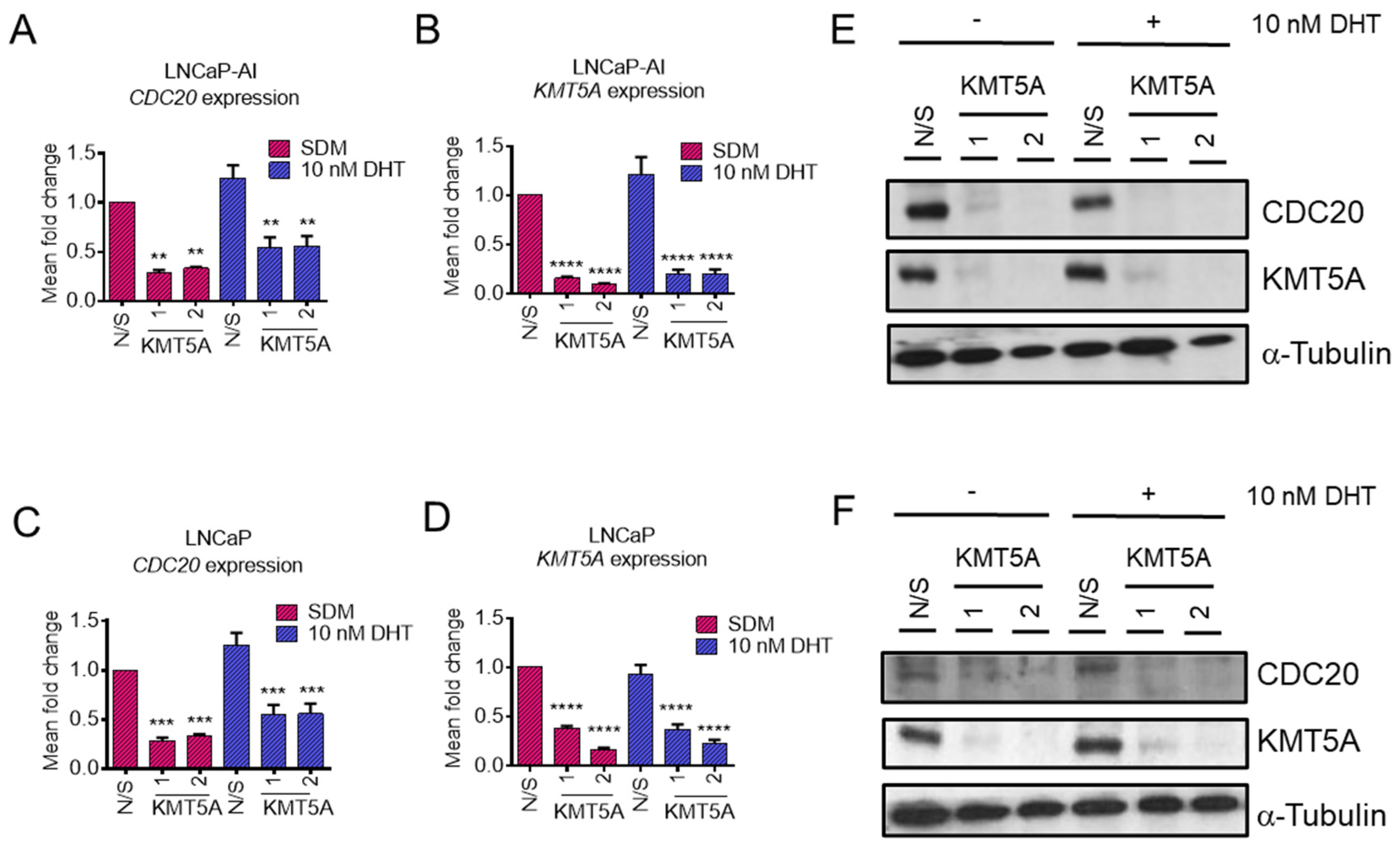 Preprints 74842 g002