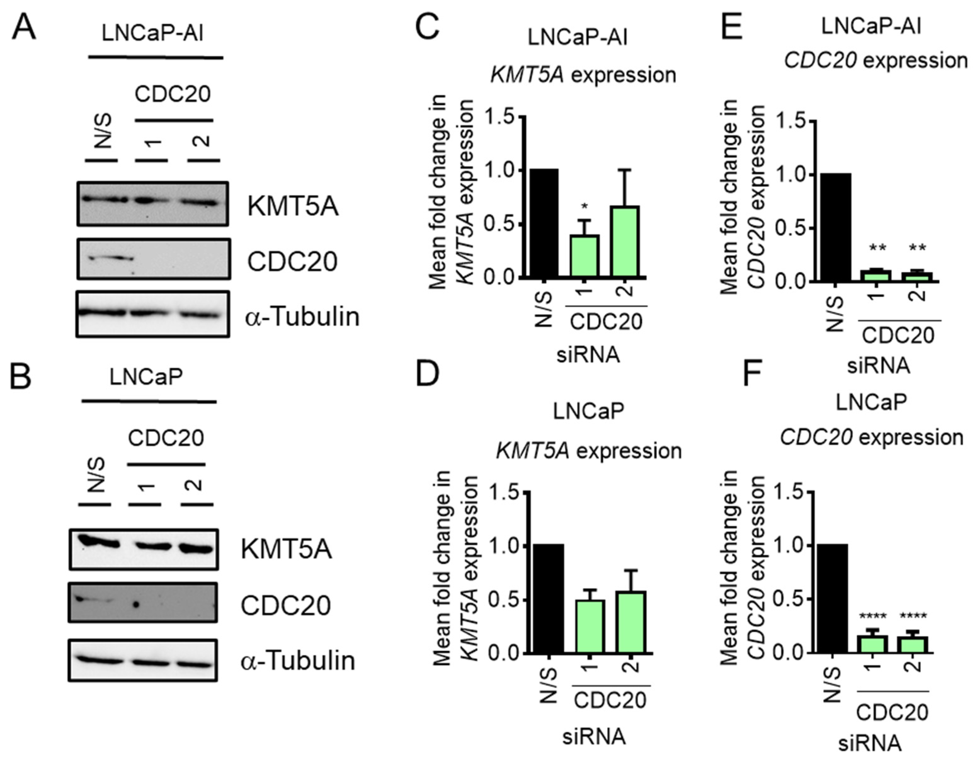 Preprints 74842 g003