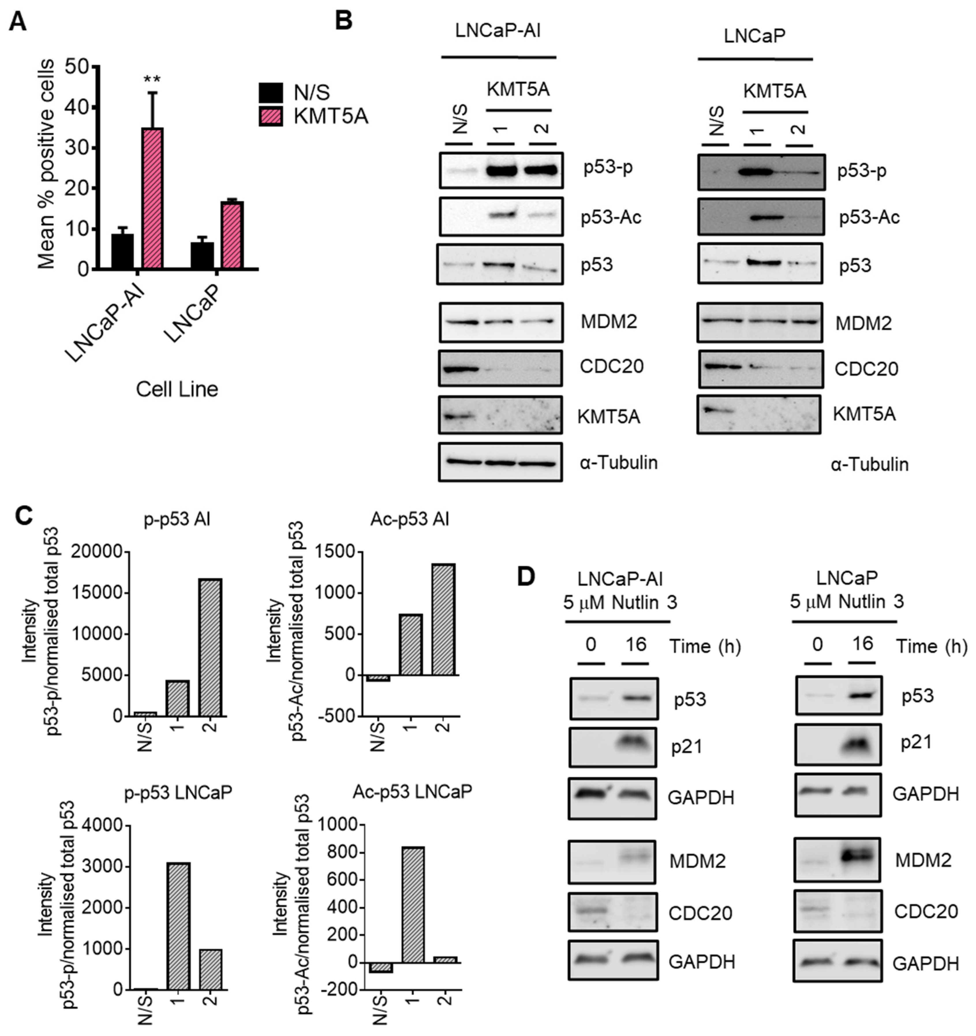 Preprints 74842 g007