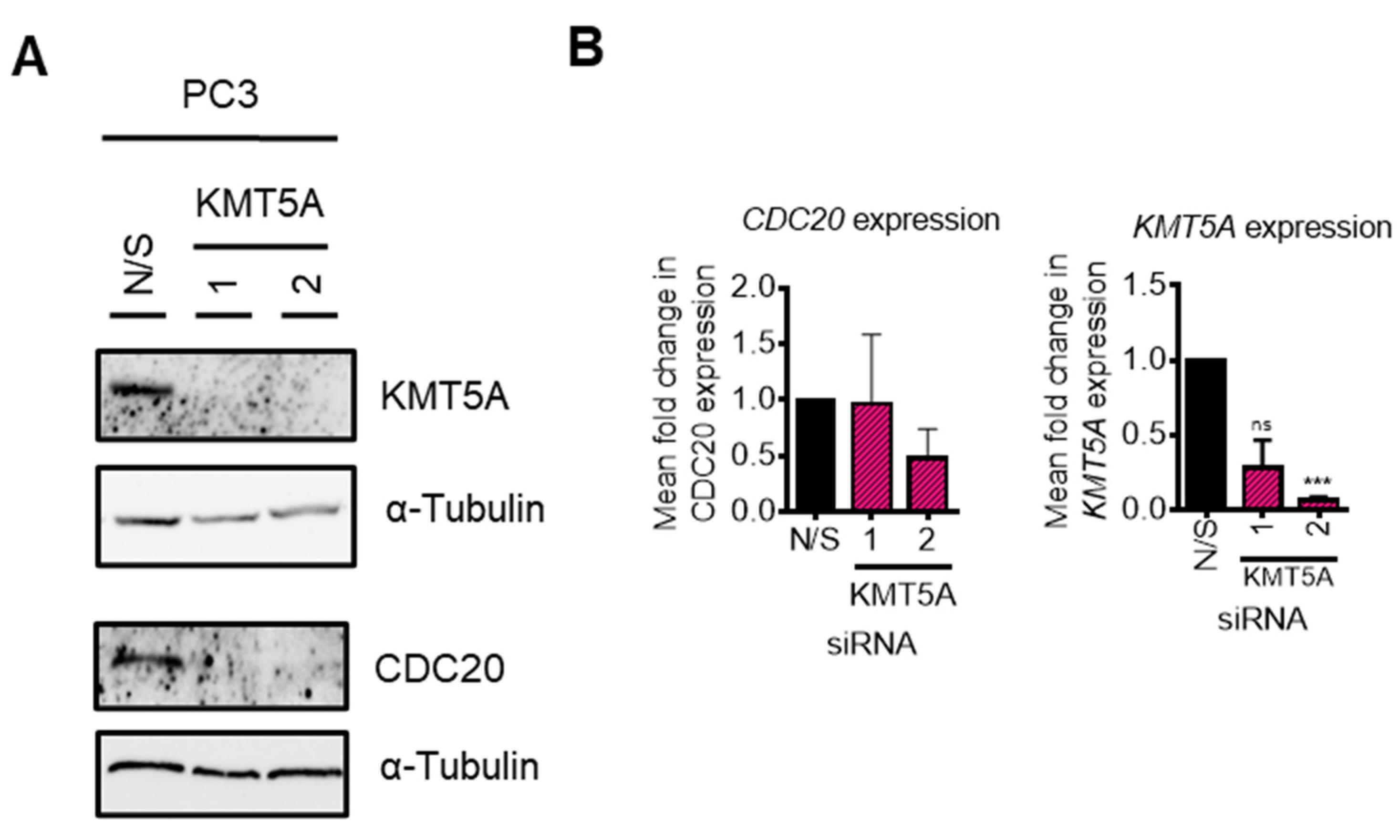 Preprints 74842 g008