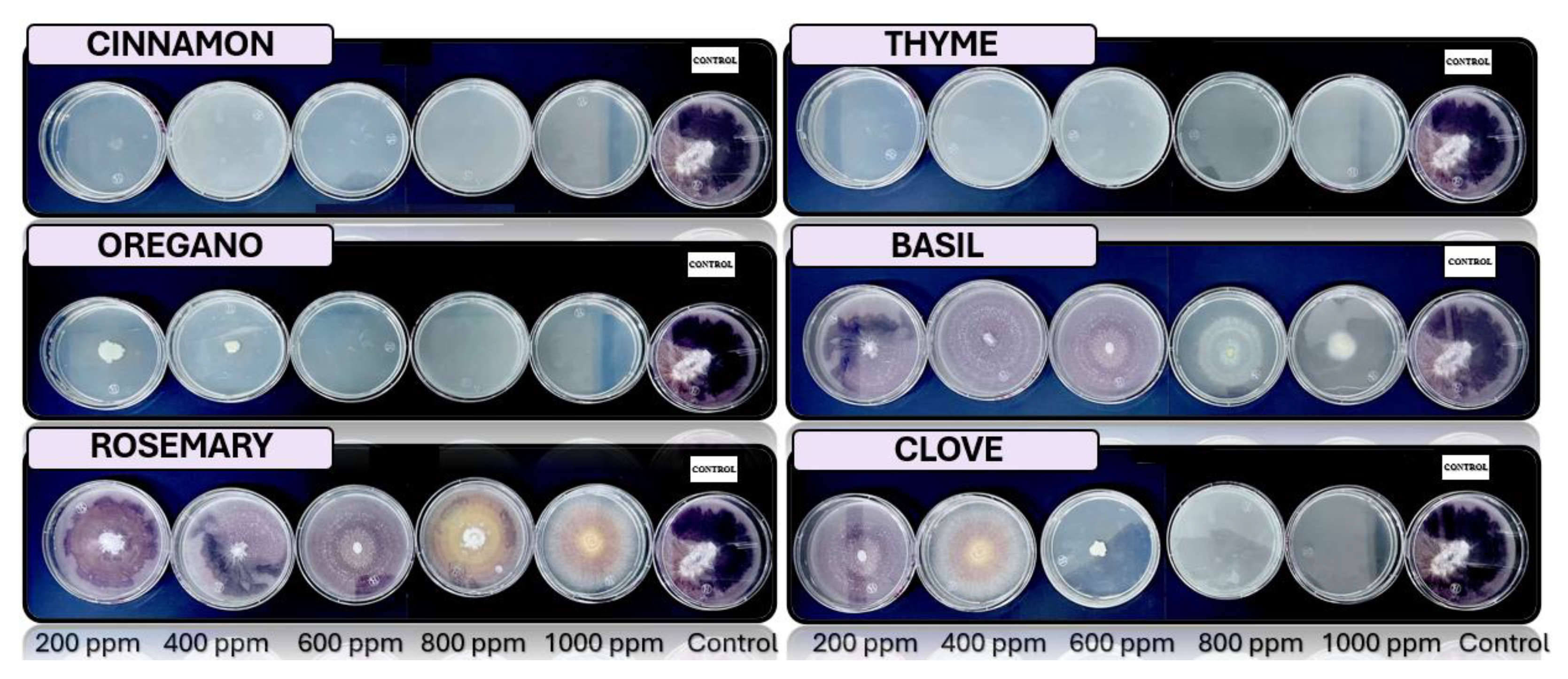 Preprints 116561 g011