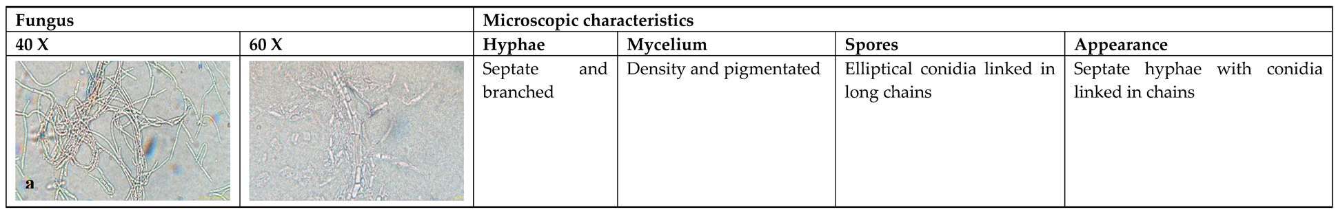 Preprints 116561 i003