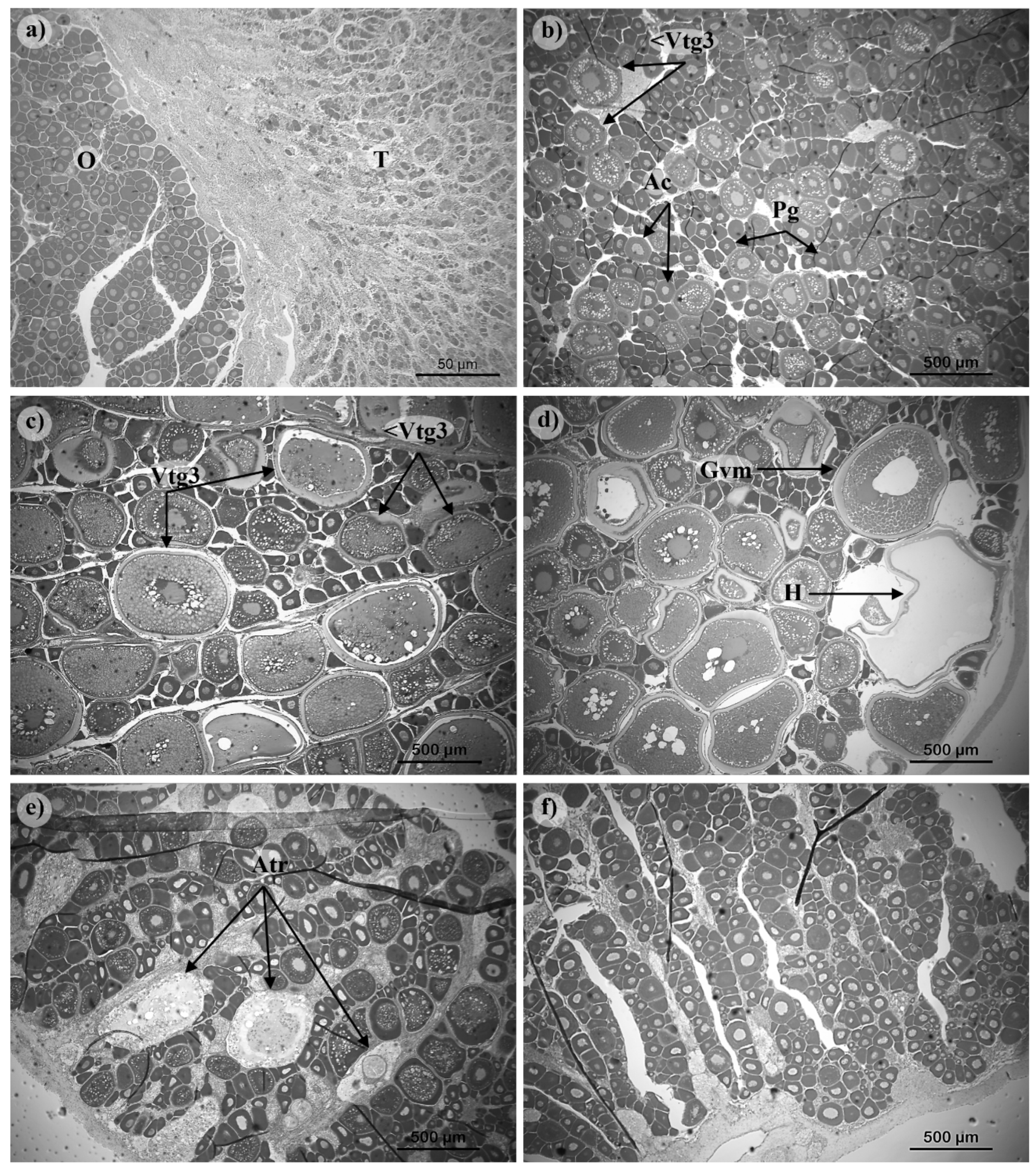 Preprints 113050 g008