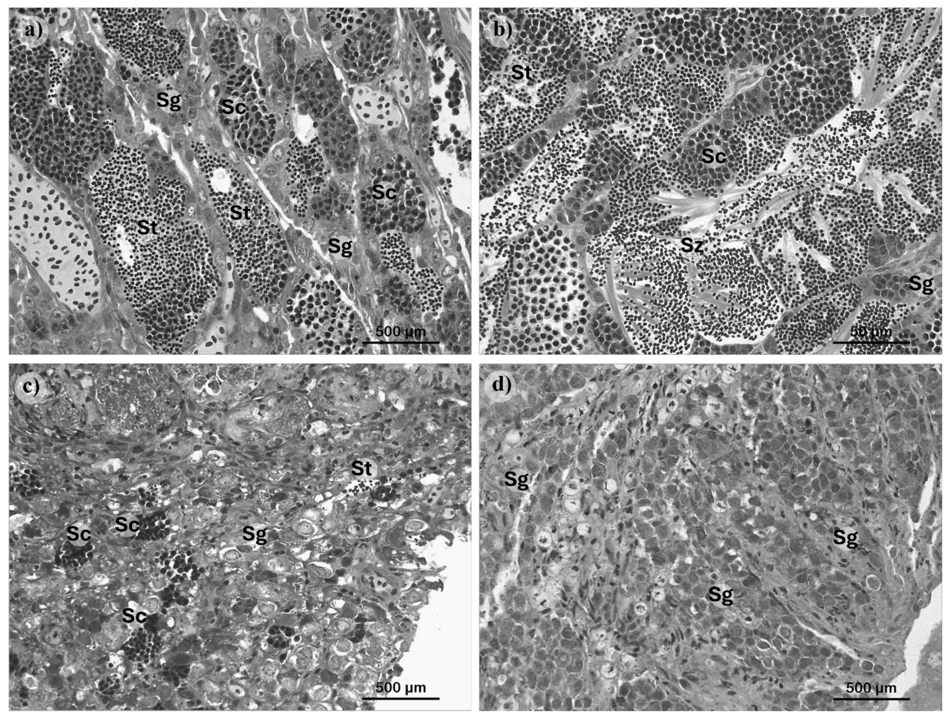 Preprints 113050 g009