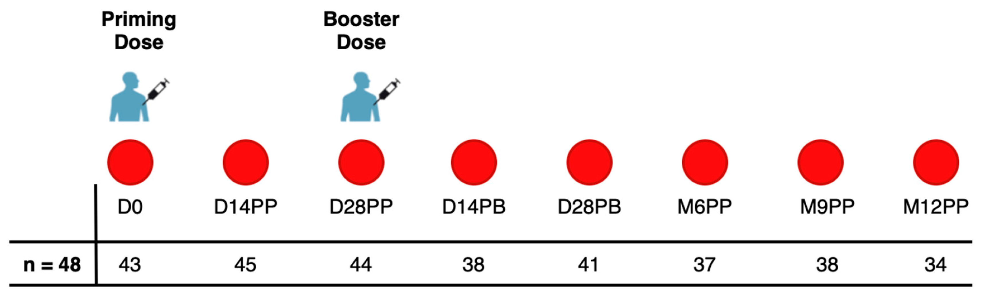 Preprints 87081 g001