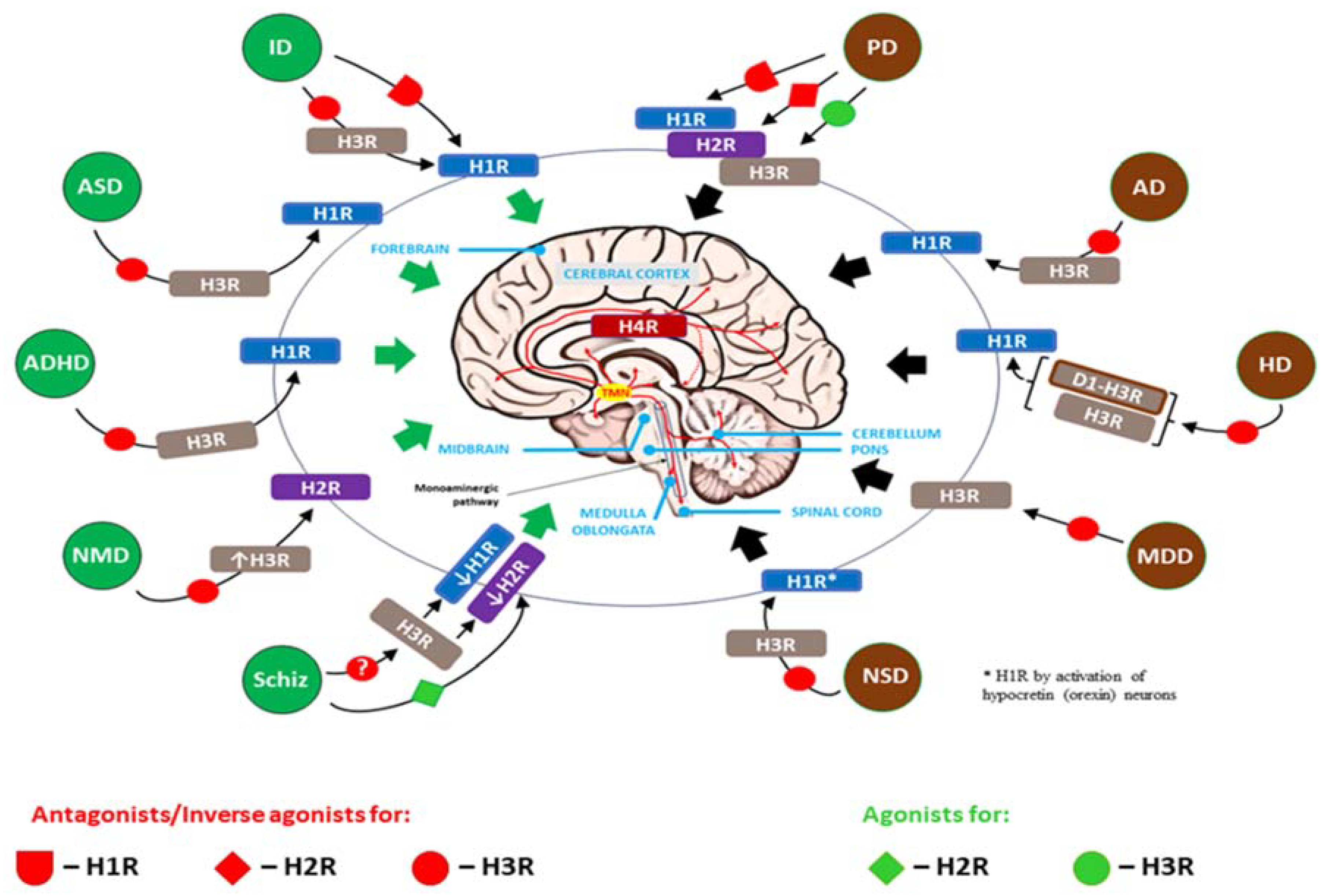 Preprints 115434 g004