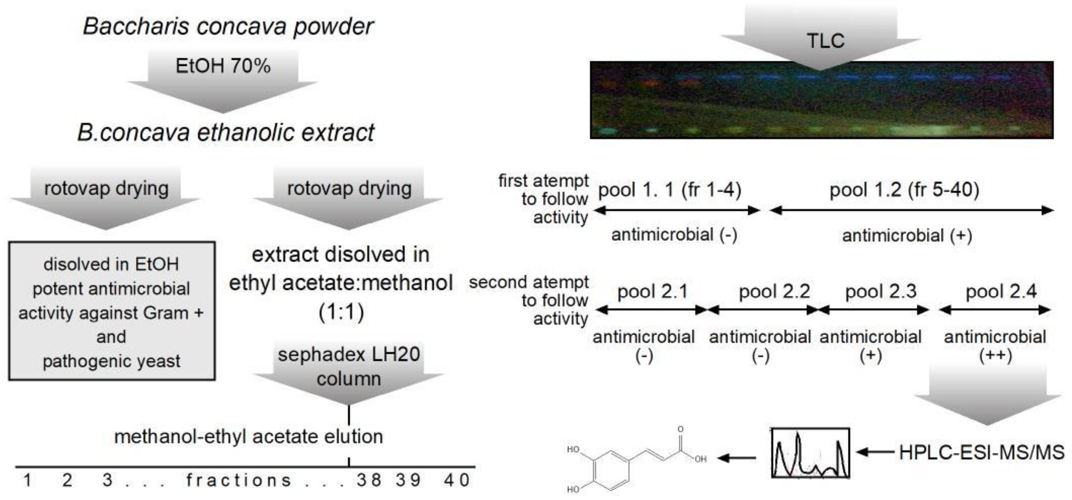 Preprints 87871 g002