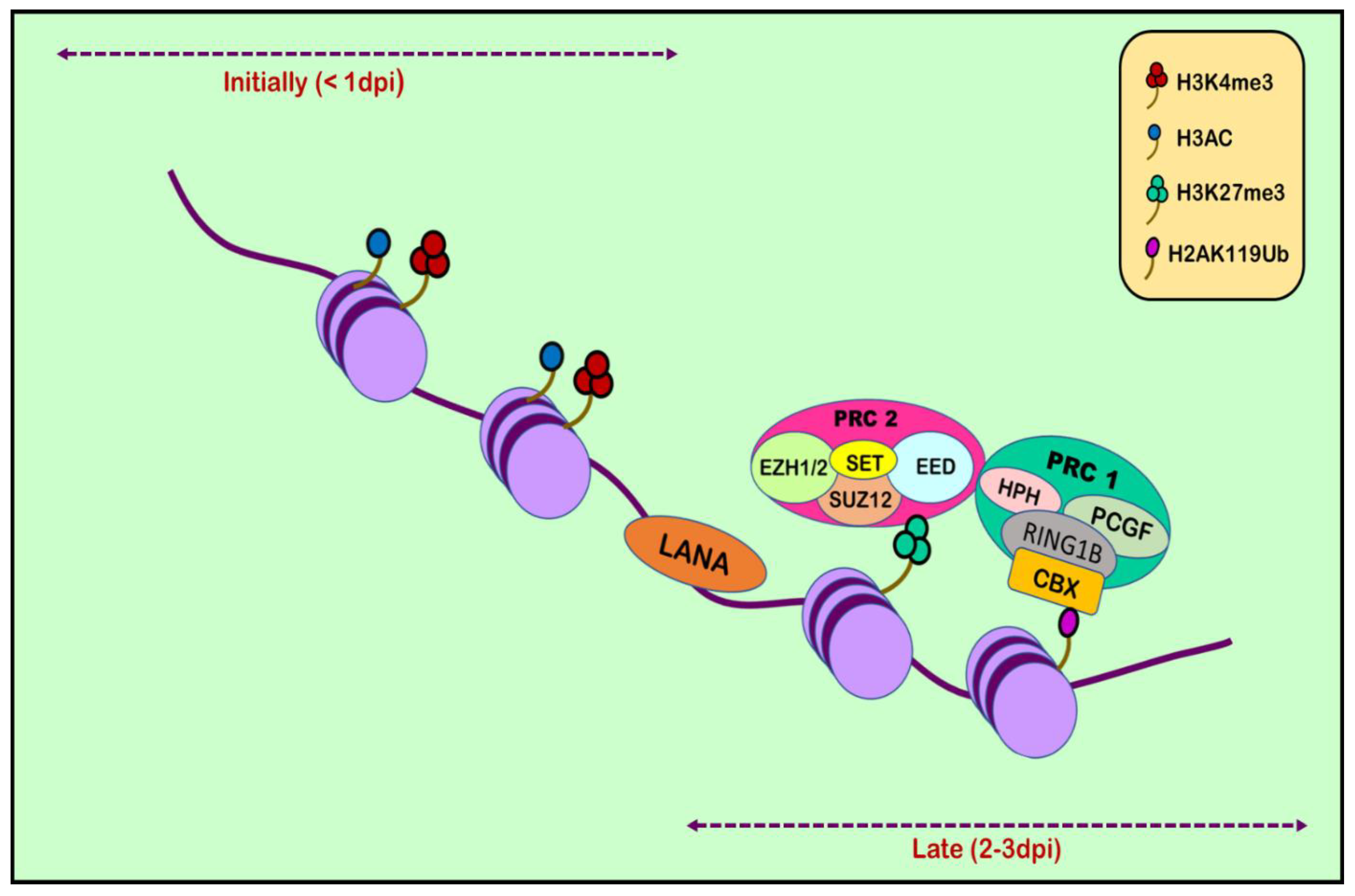 Preprints 77953 g002