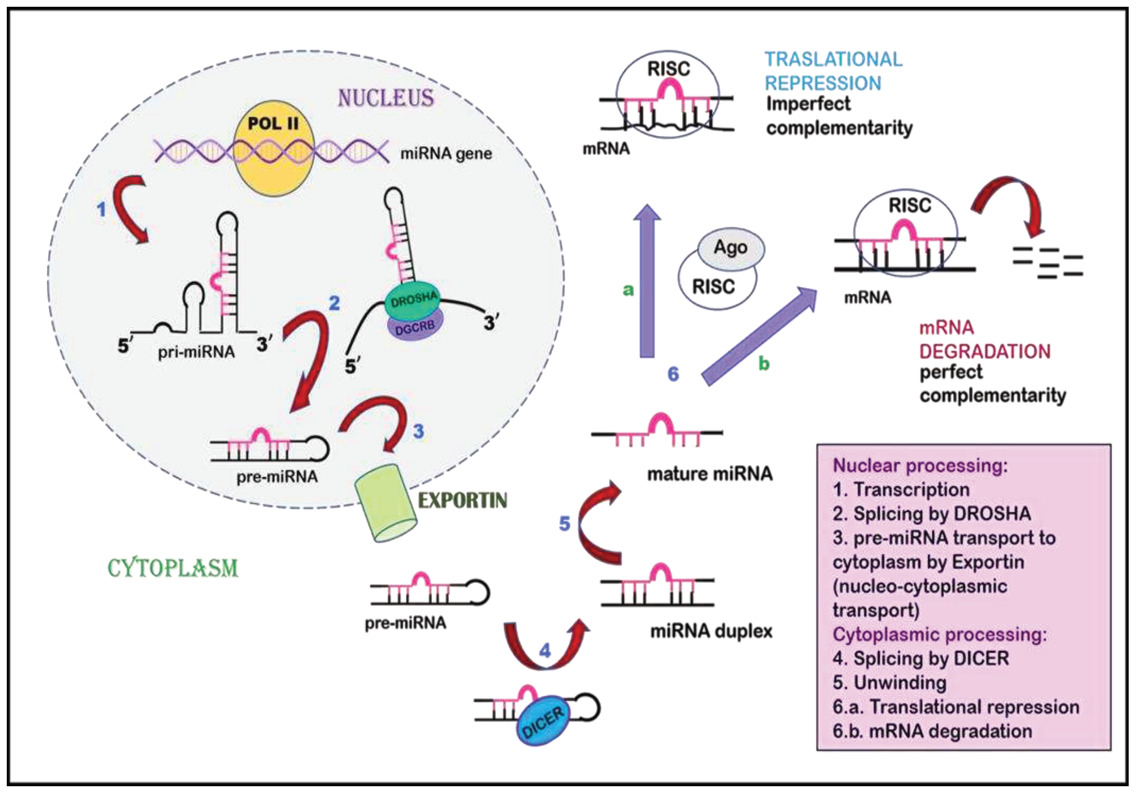 Preprints 77953 g003