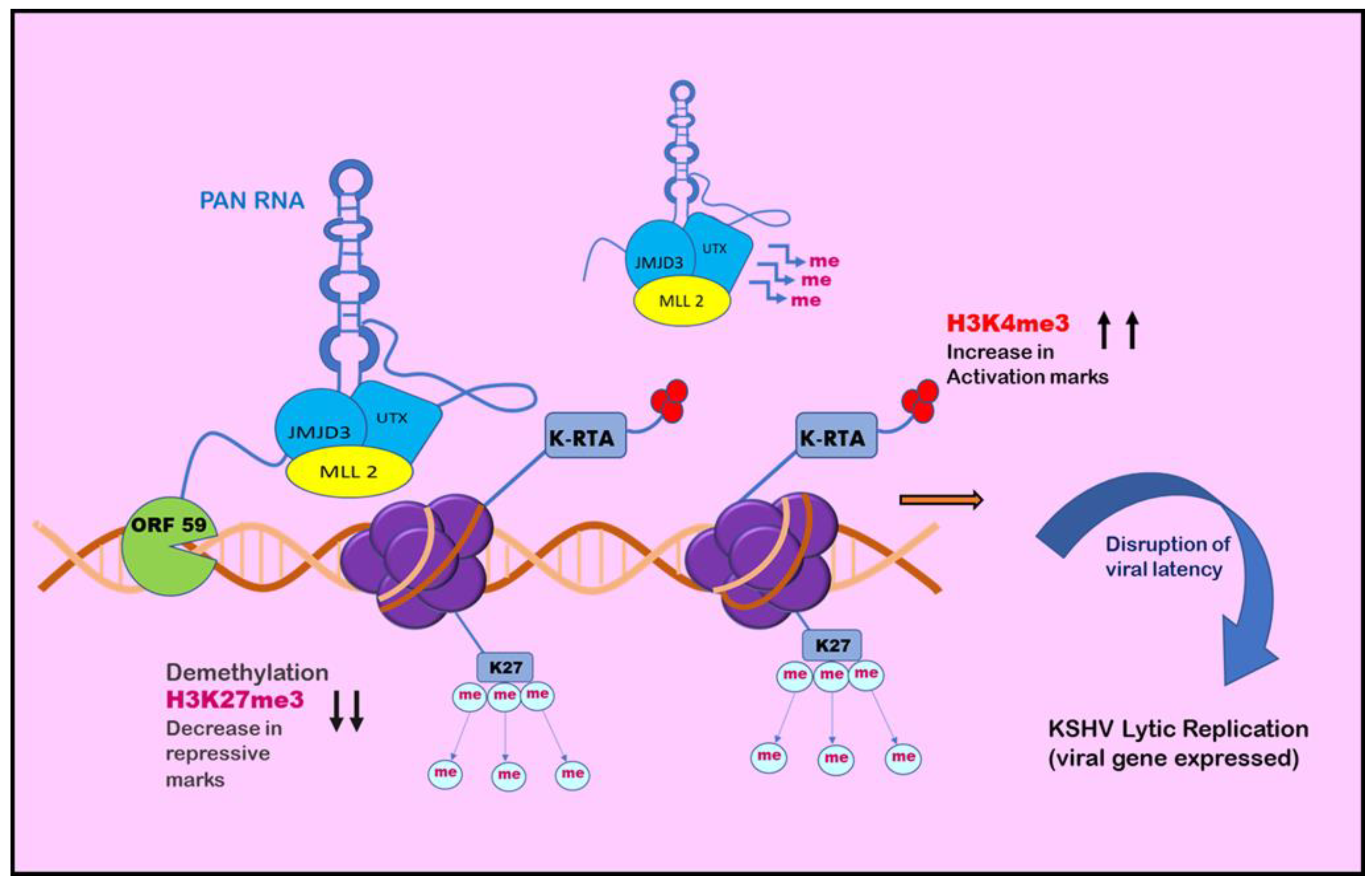 Preprints 77953 g004