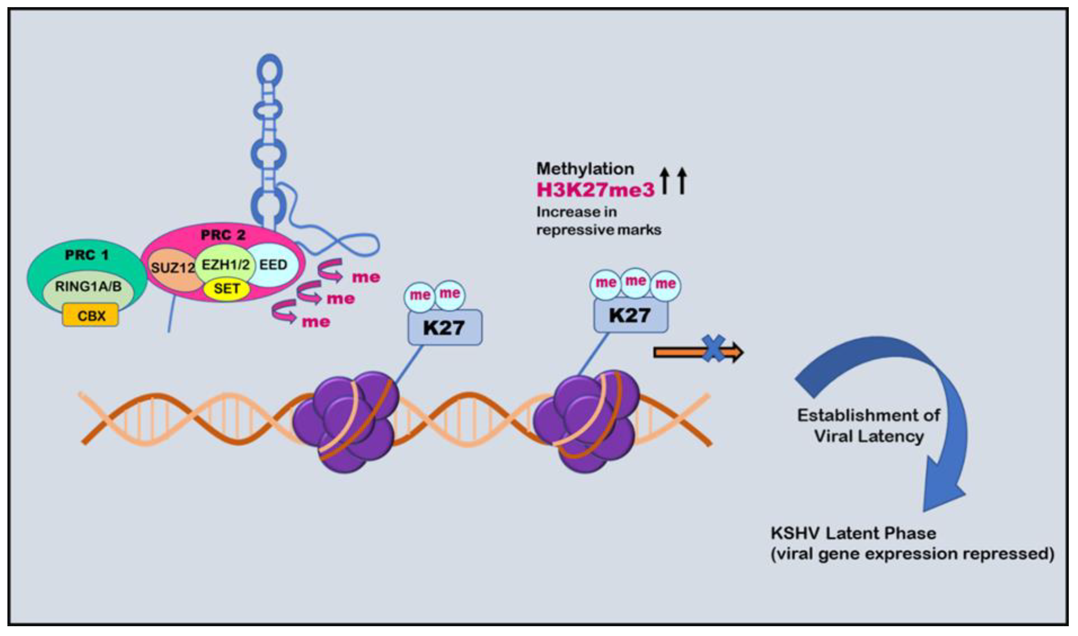 Preprints 77953 g005