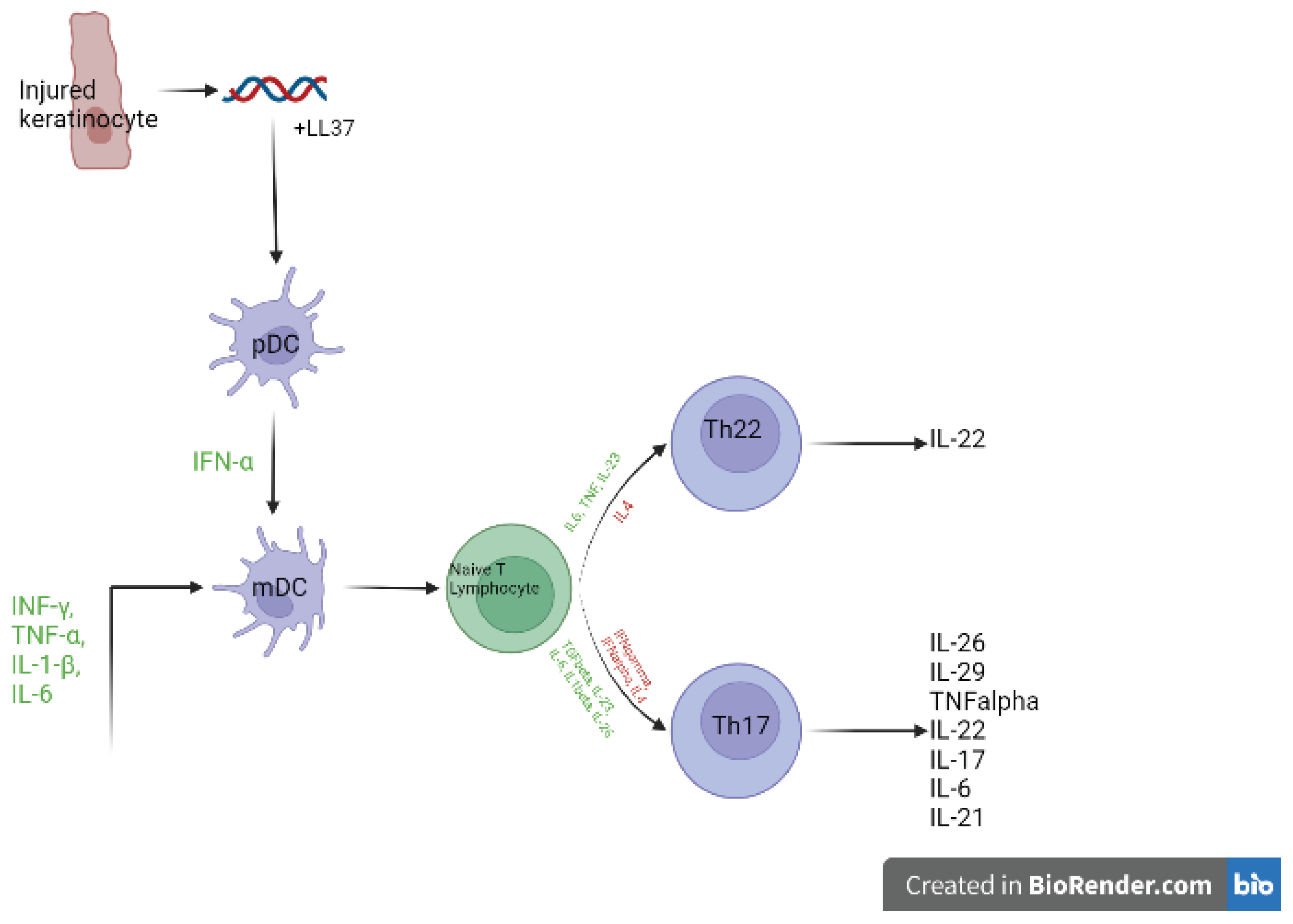 Preprints 101188 g001