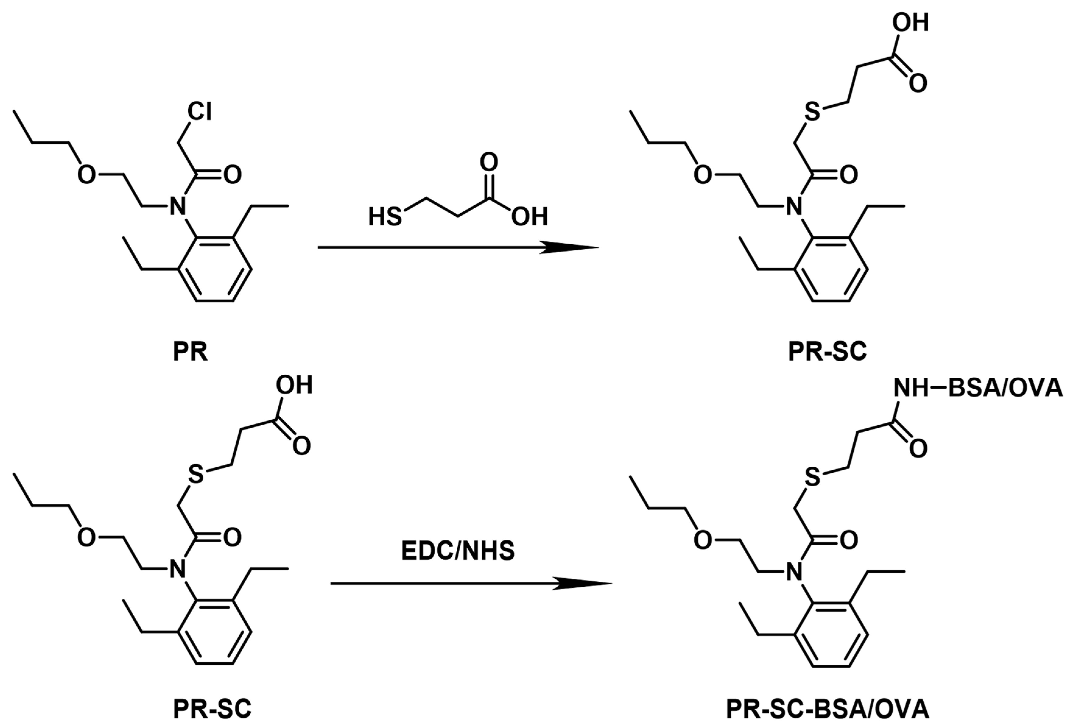 Preprints 91197 g001