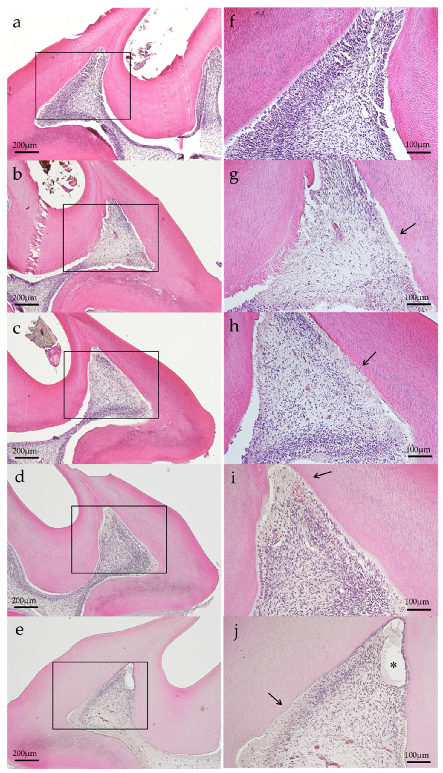 Preprints 88302 g002