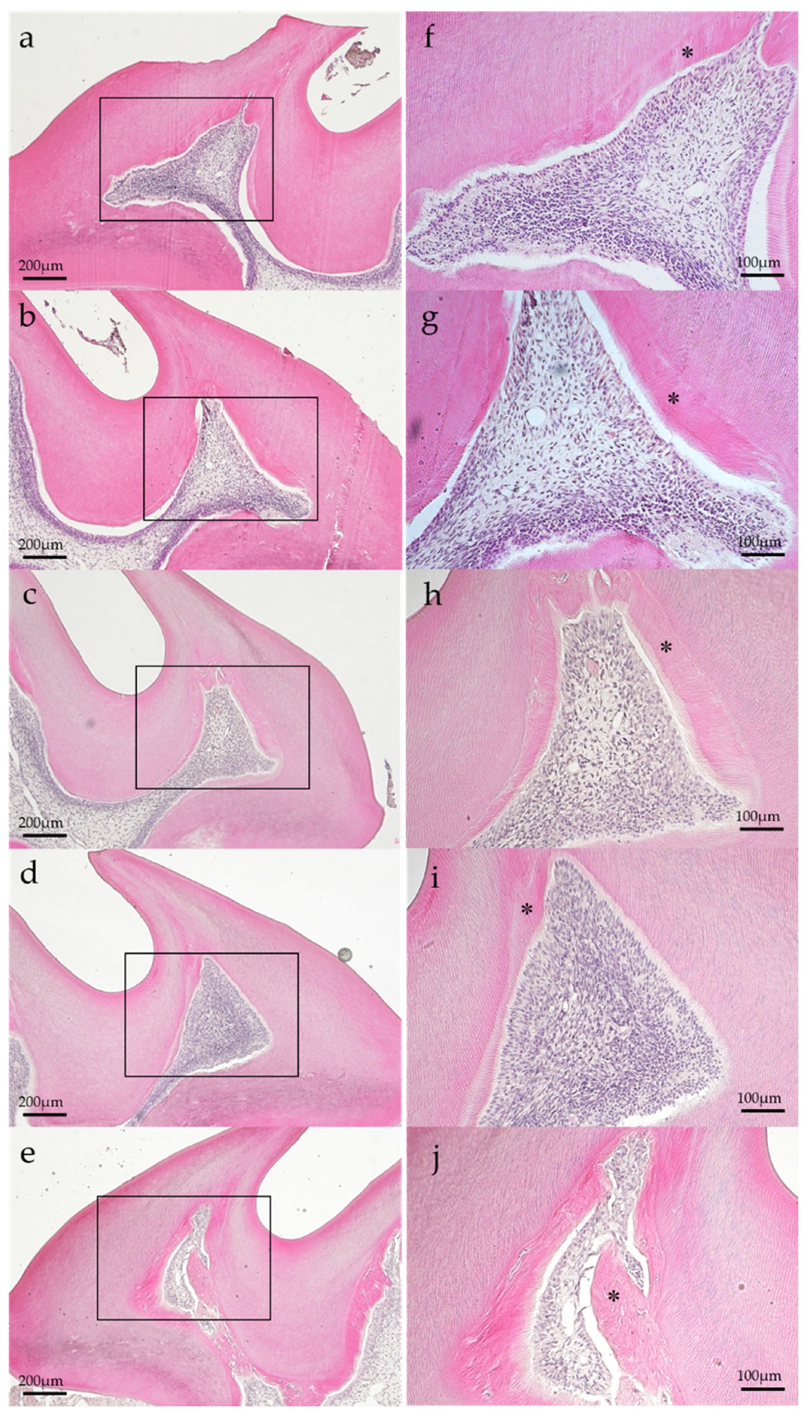 Preprints 88302 g003