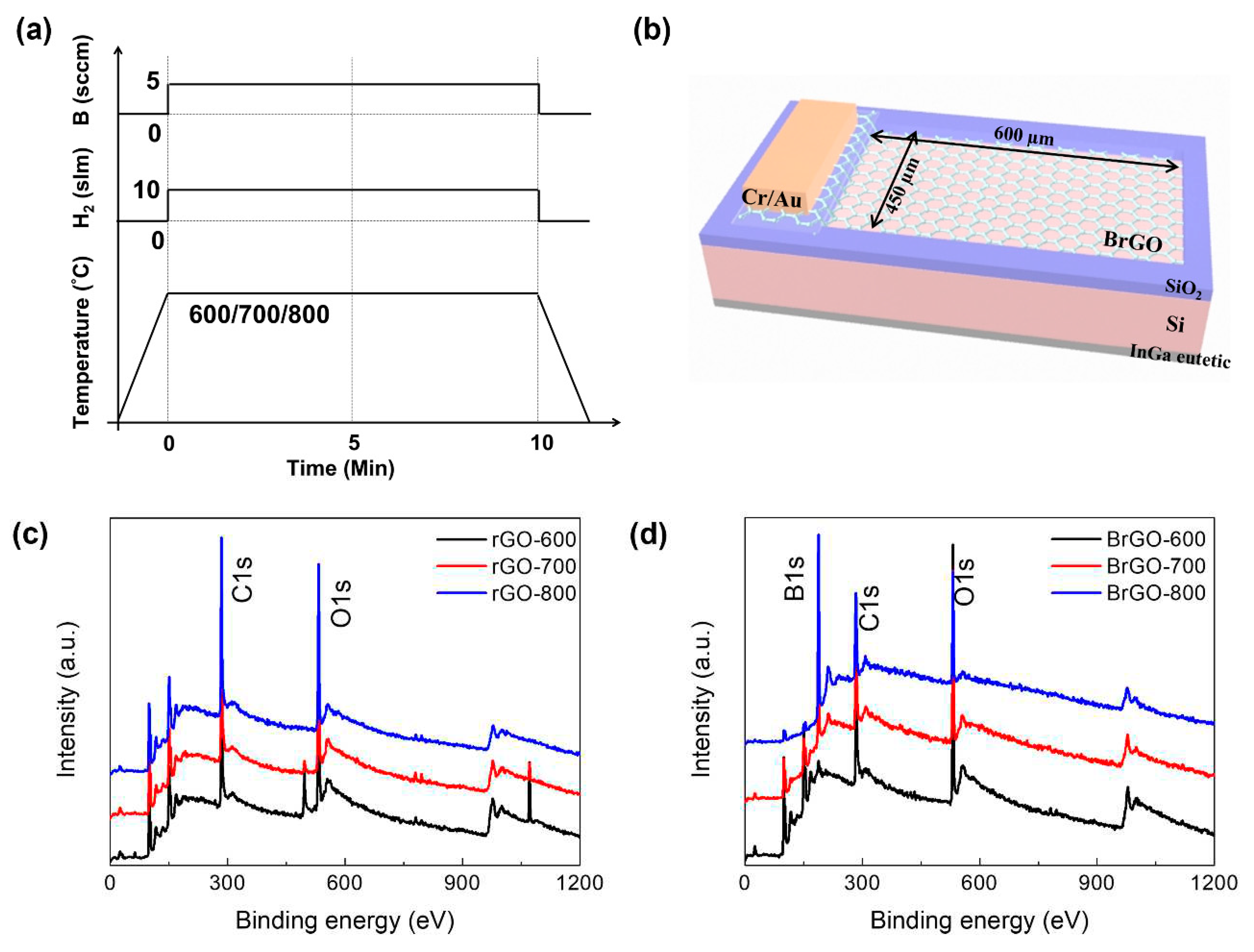 Preprints 88678 g001