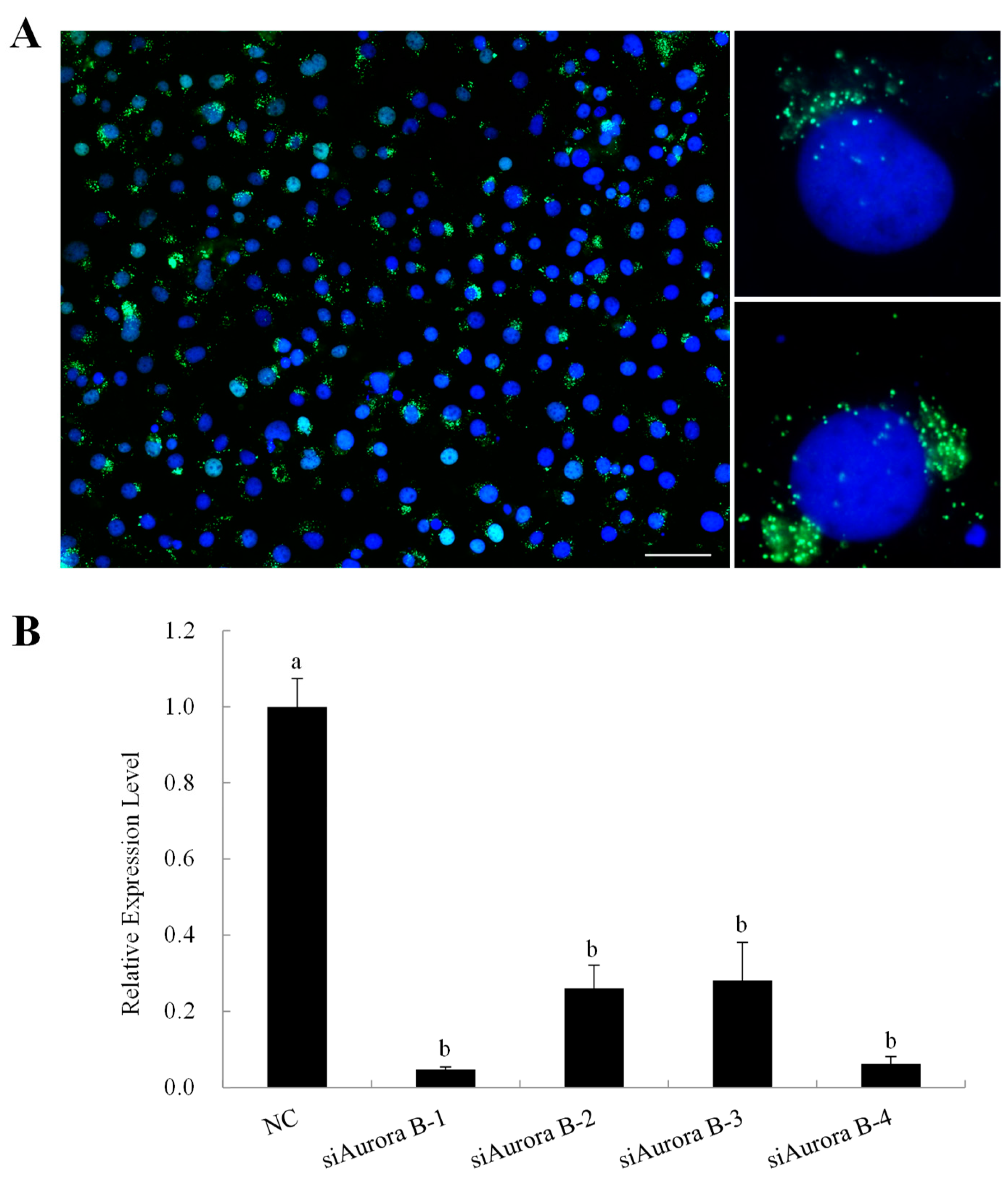 Preprints 93797 g003