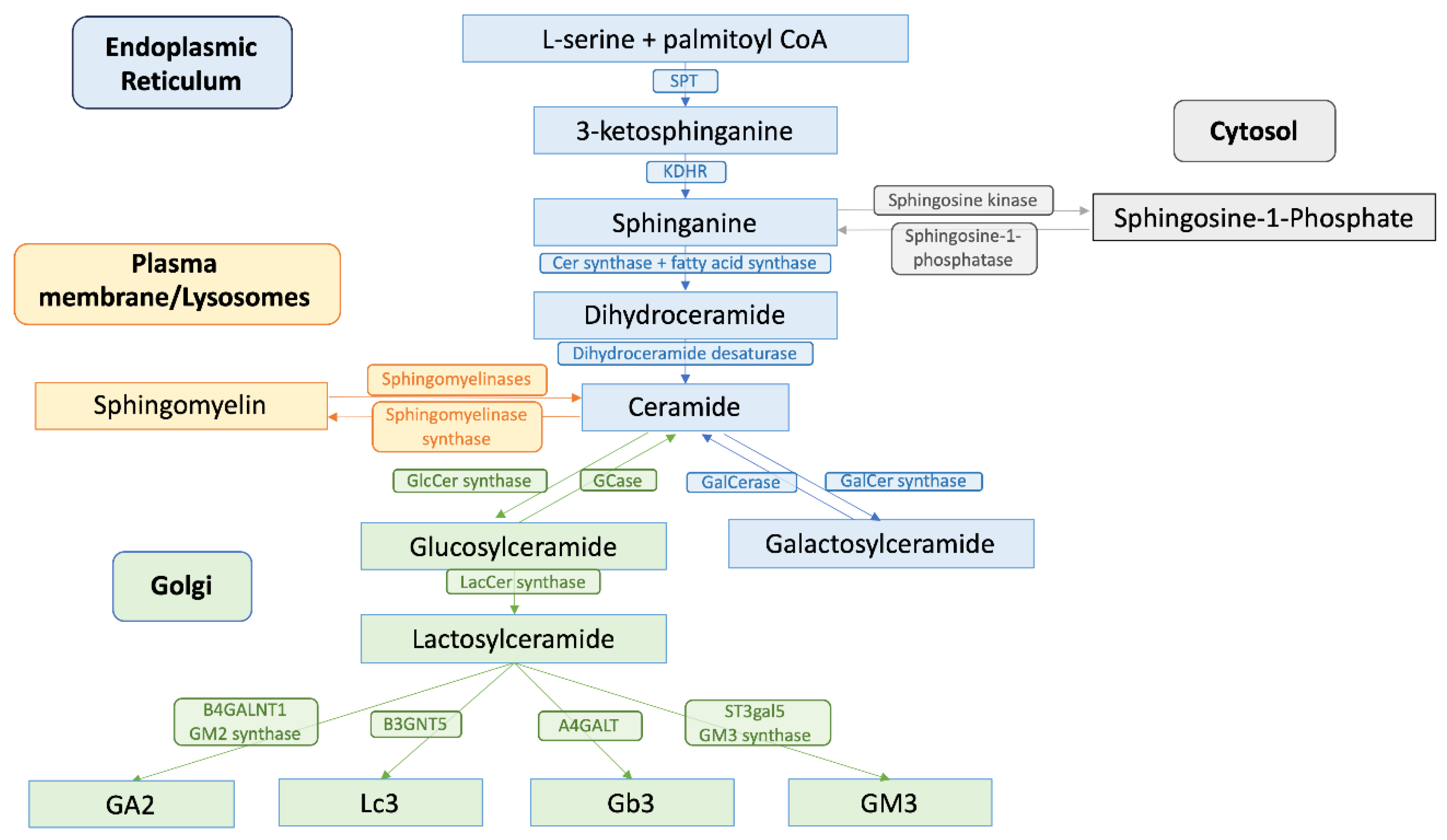 Preprints 117432 g001