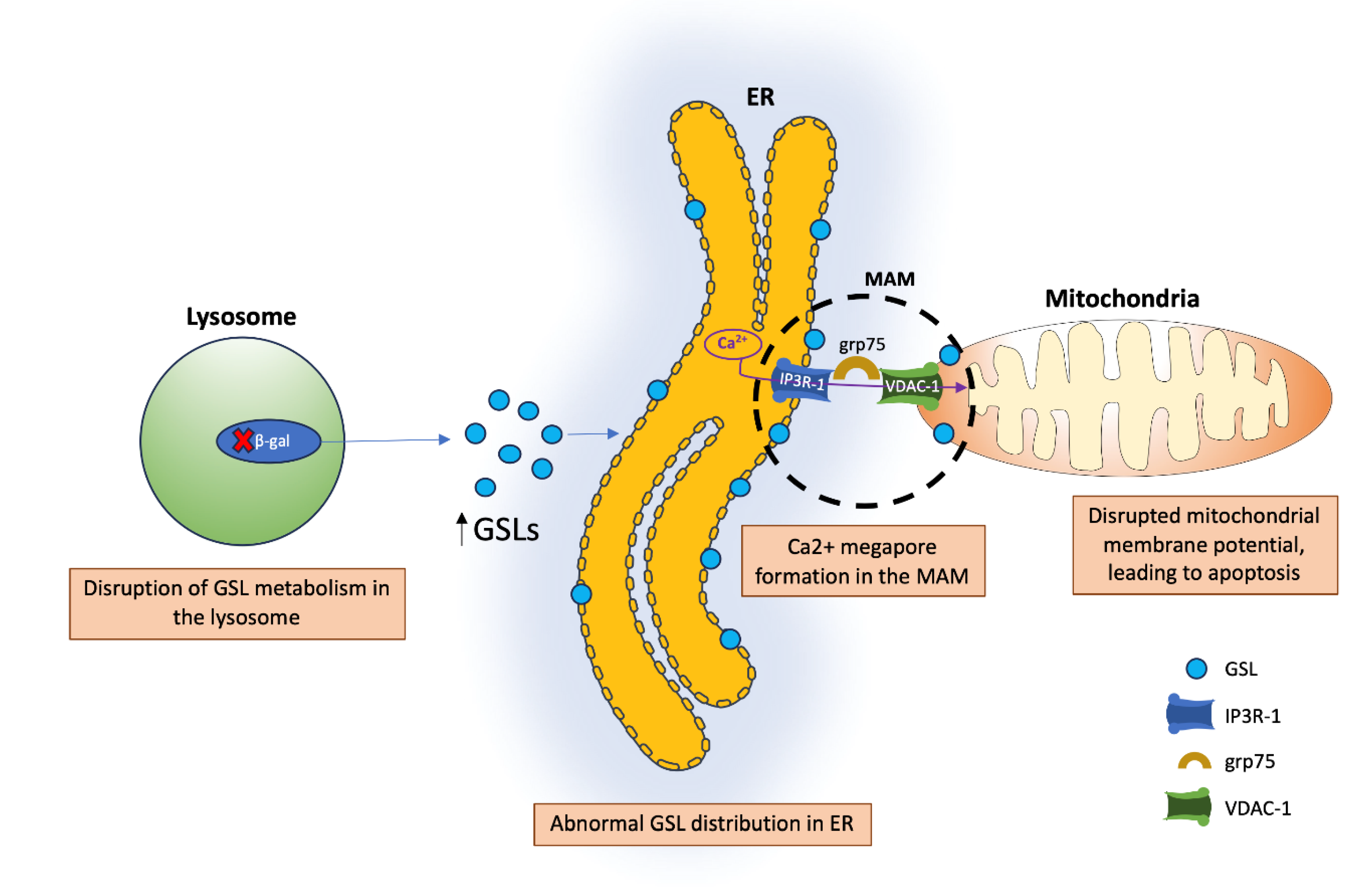 Preprints 117432 g002