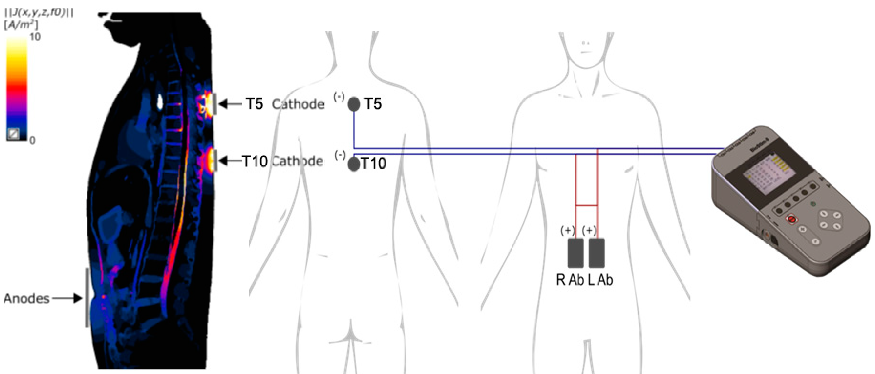 Preprints 77079 g001