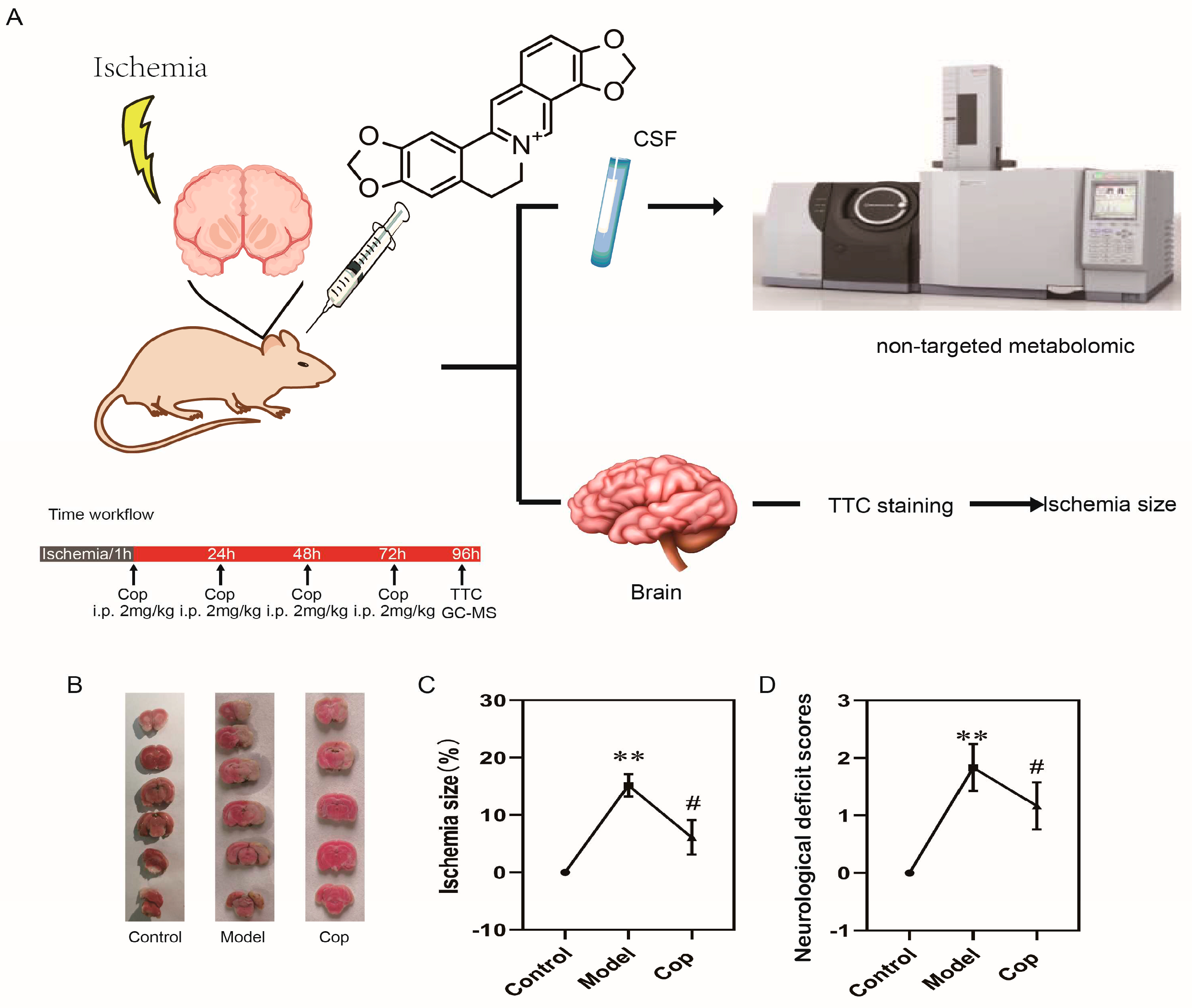 Preprints 81894 g001